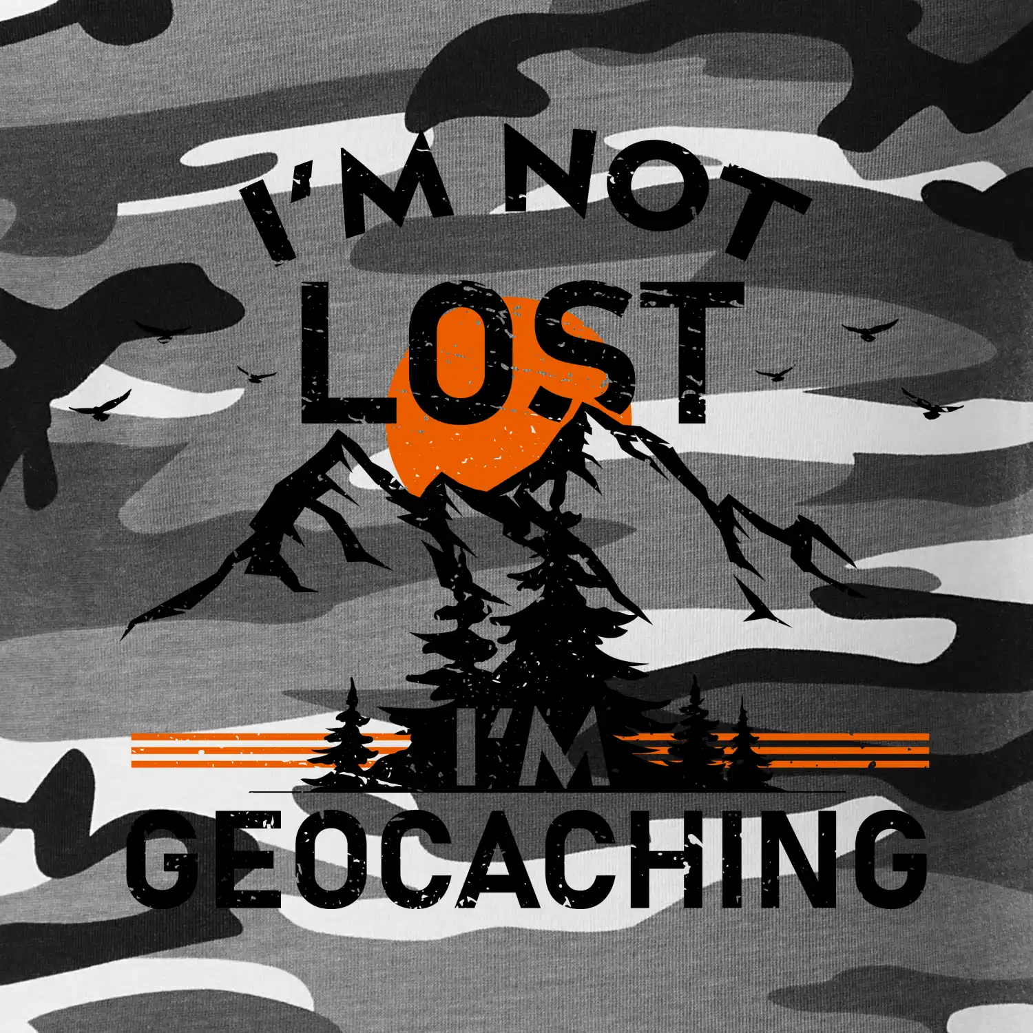 Im not lost - geocaching