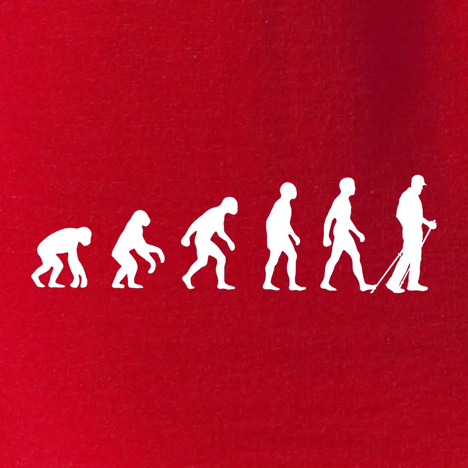 Evoluce Nordic walking