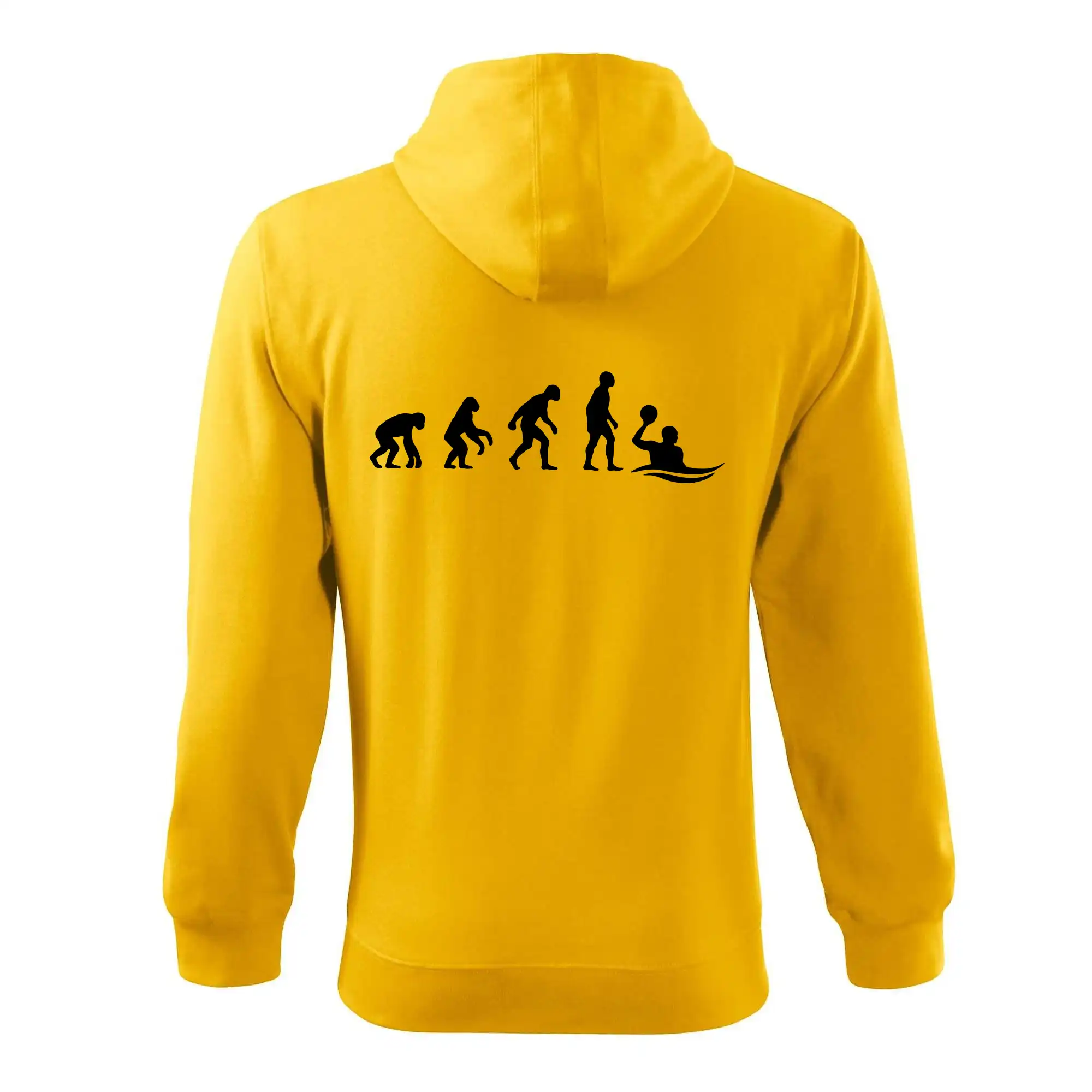 Evoluce Vodní pólo