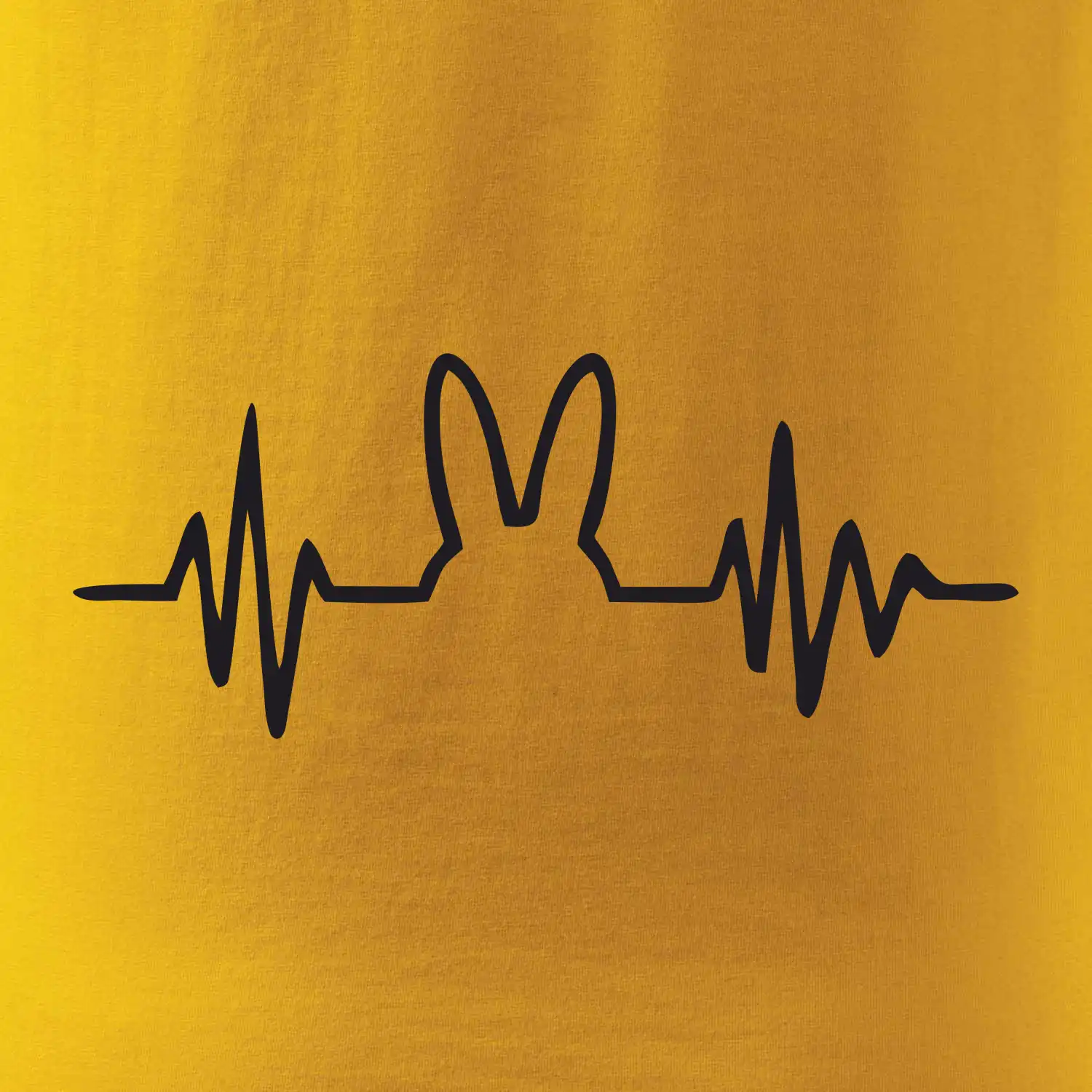EKG zajíc