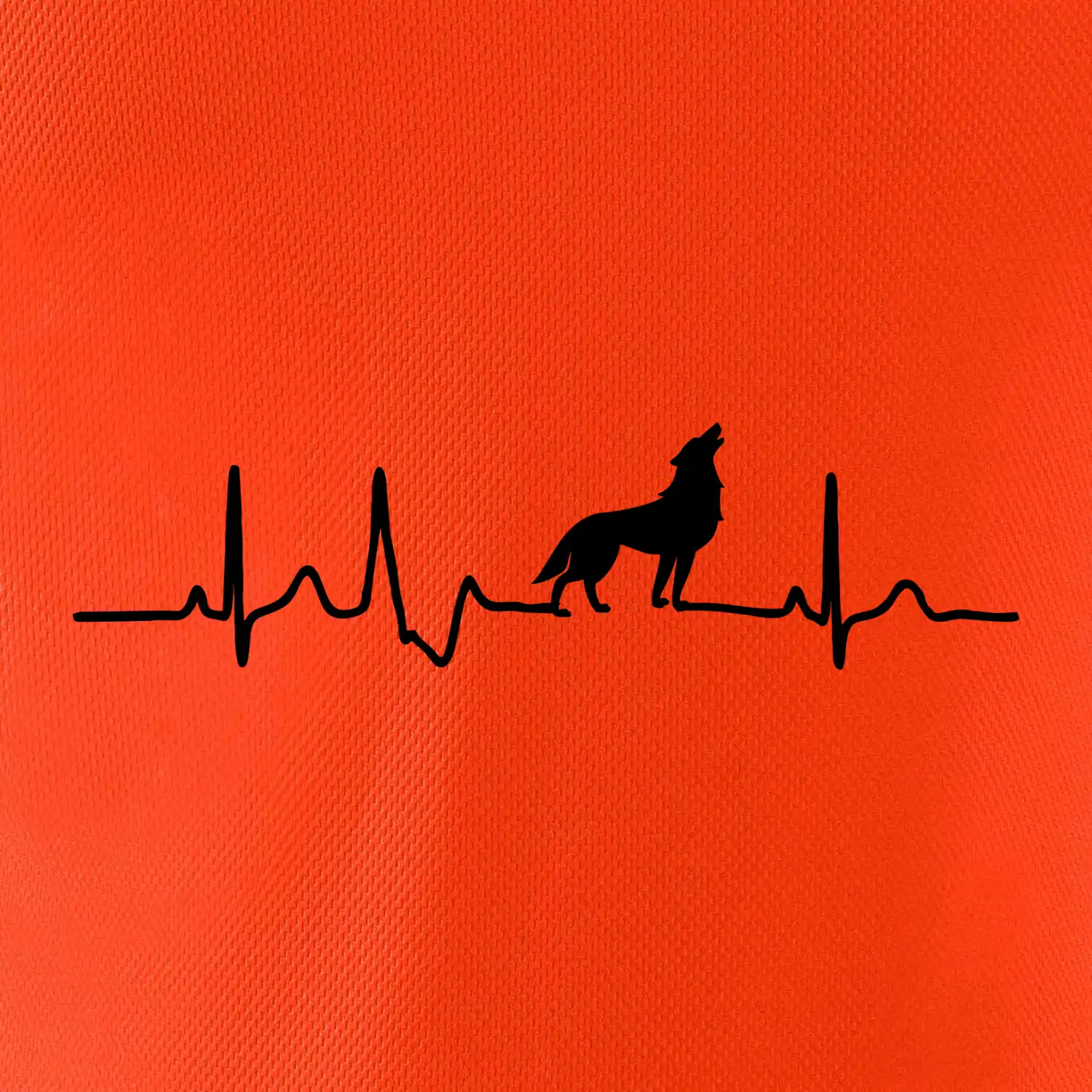 Vlk ekg