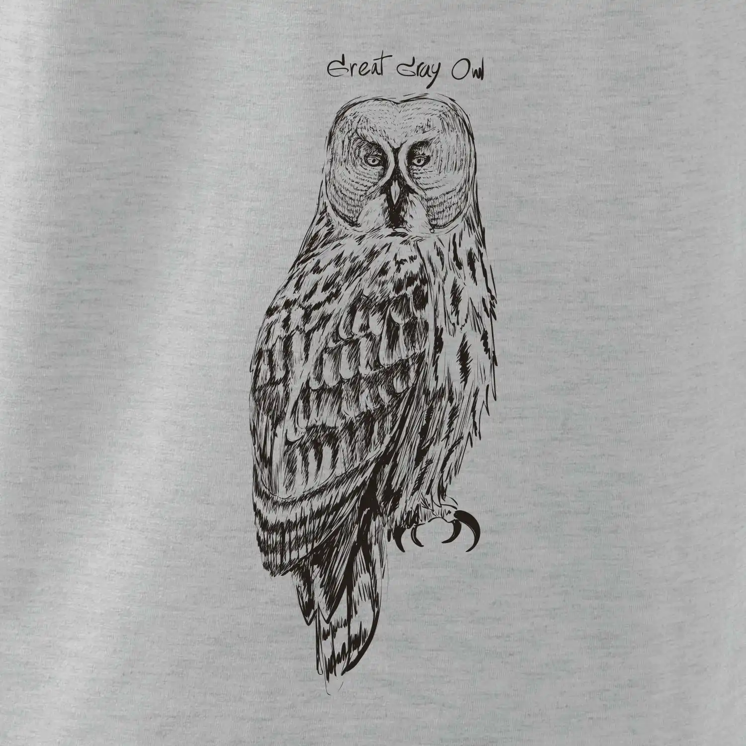 Puštík vousatý great gray owl