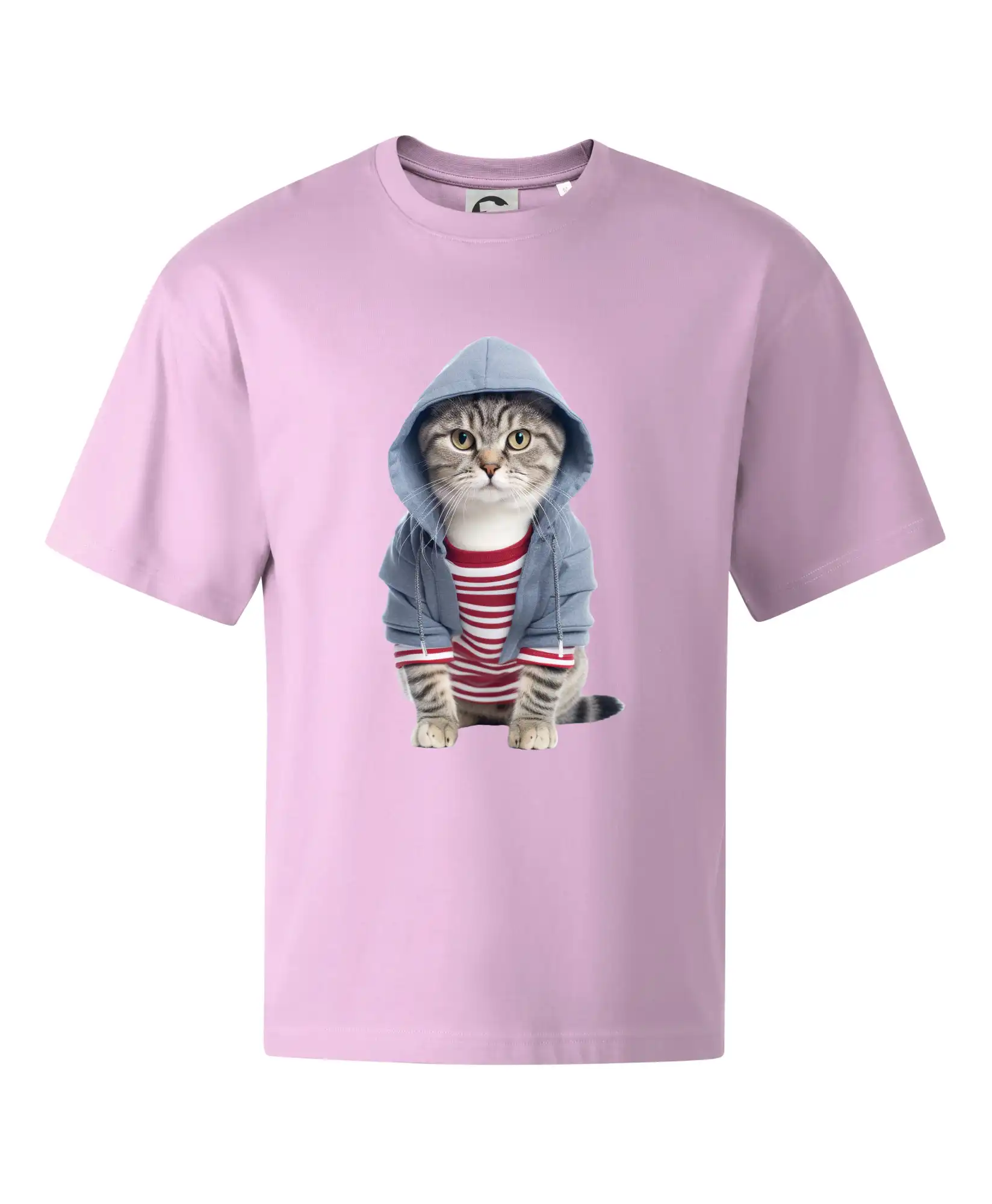 Kočka v pruhovaném triku