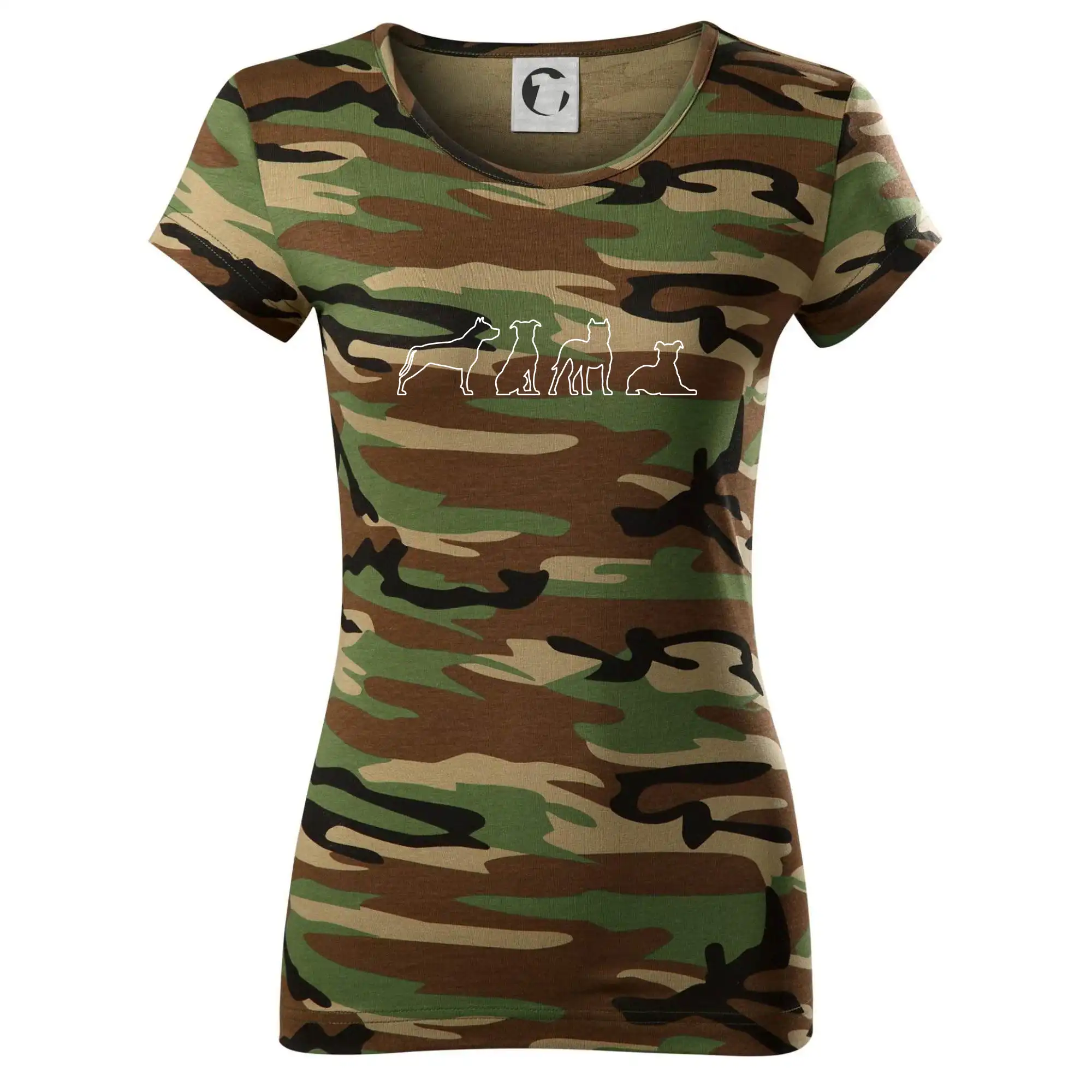 Americký stafordširský teriér v různých pozicích