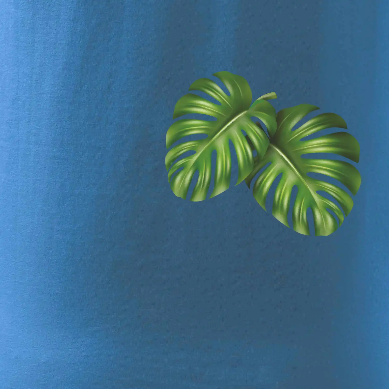 Monstera listy na prsu