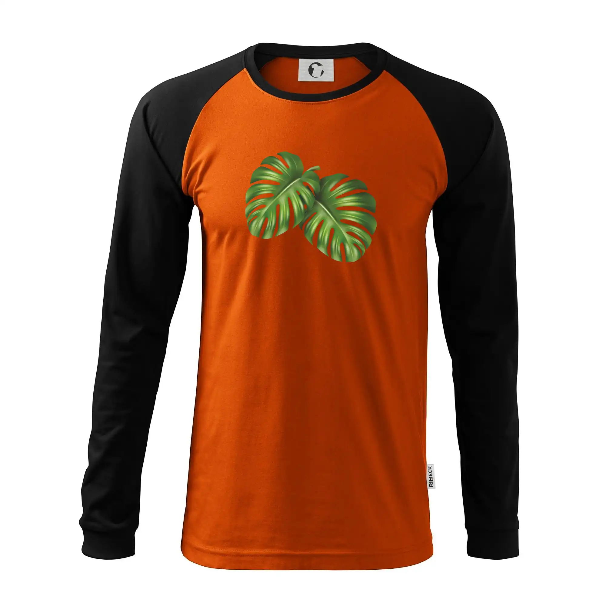 Monstera - dva listy