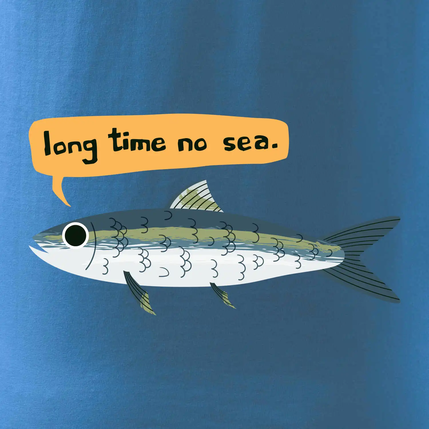 Long time no sea