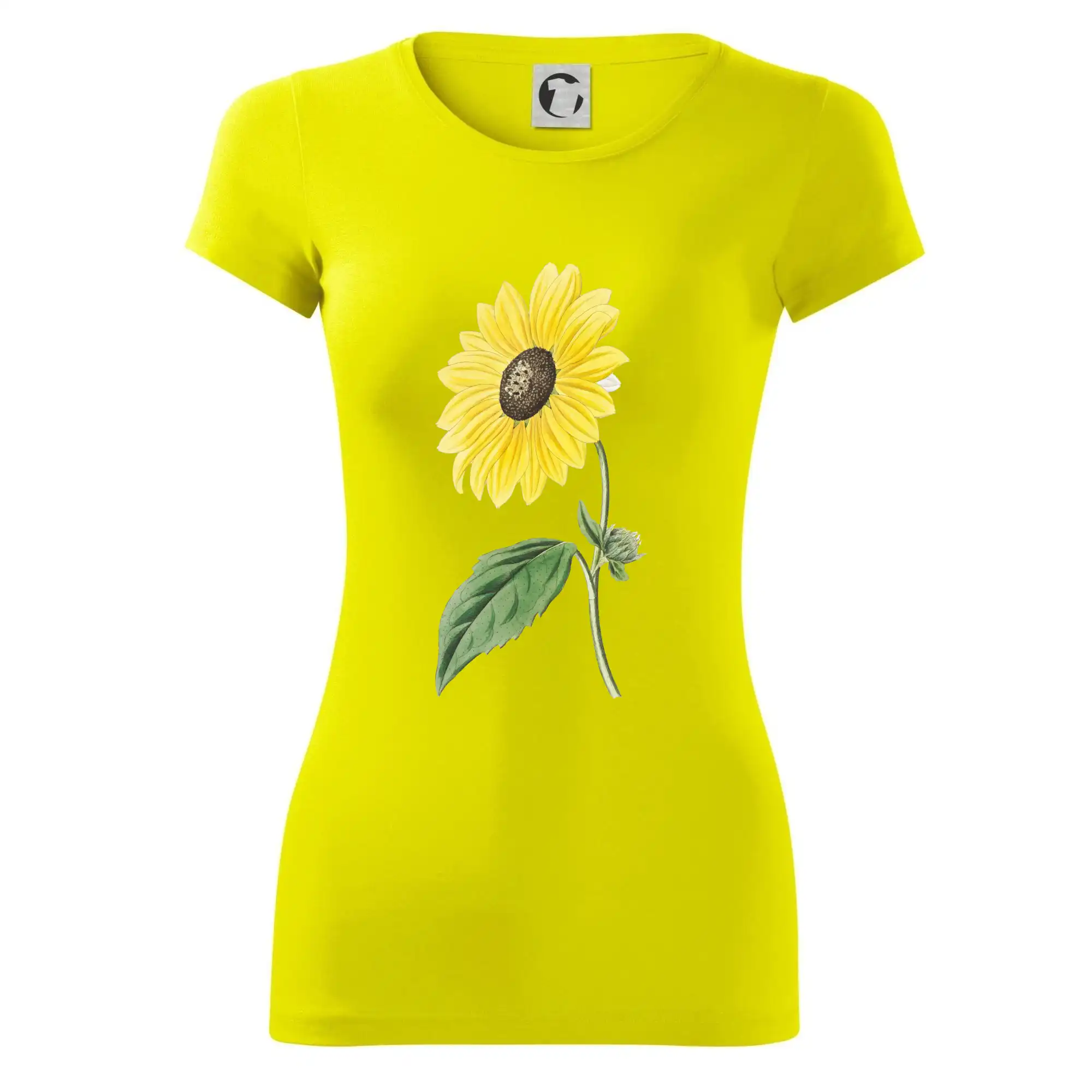 Slunečnice otočená