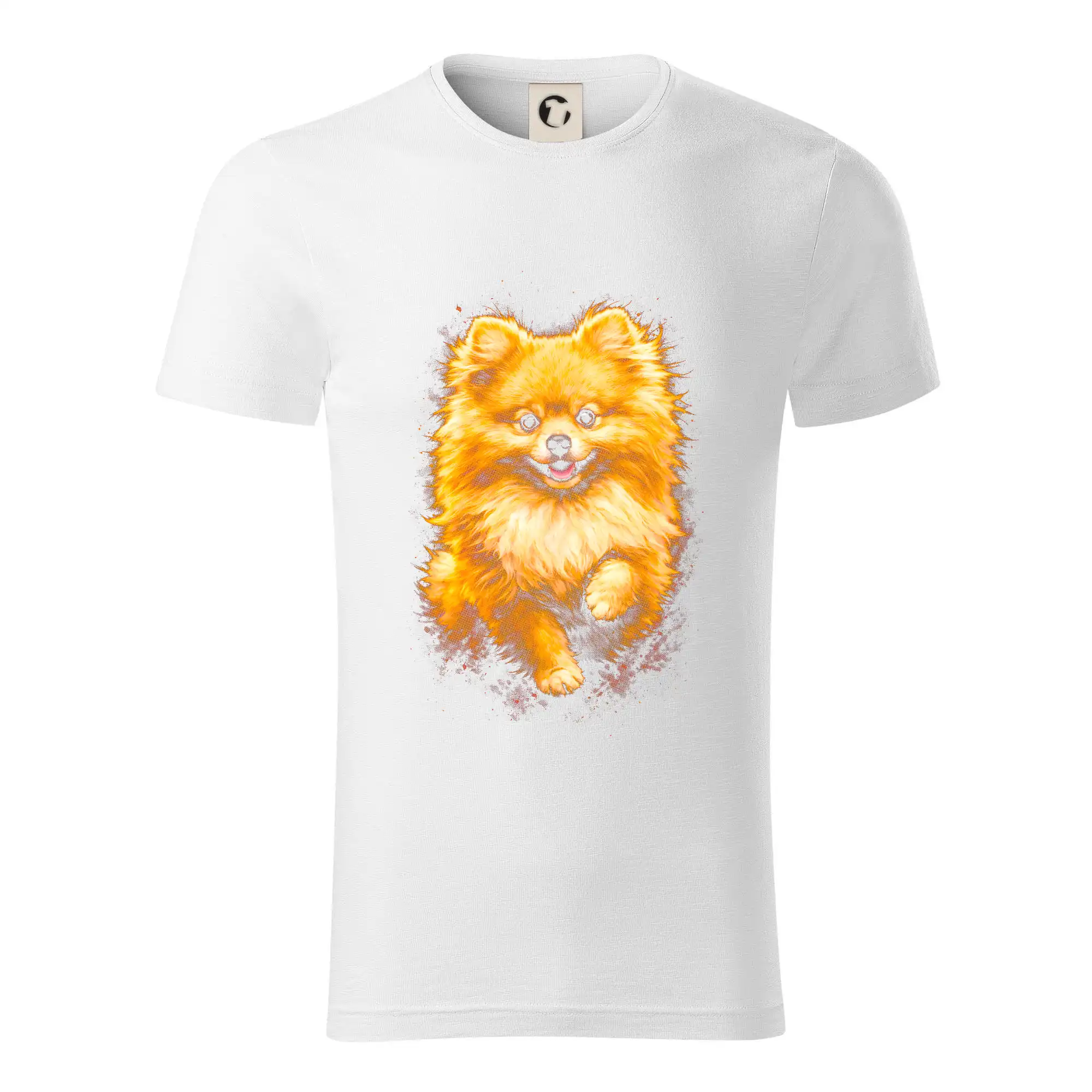 Obrázek polotón Pomořanský špic