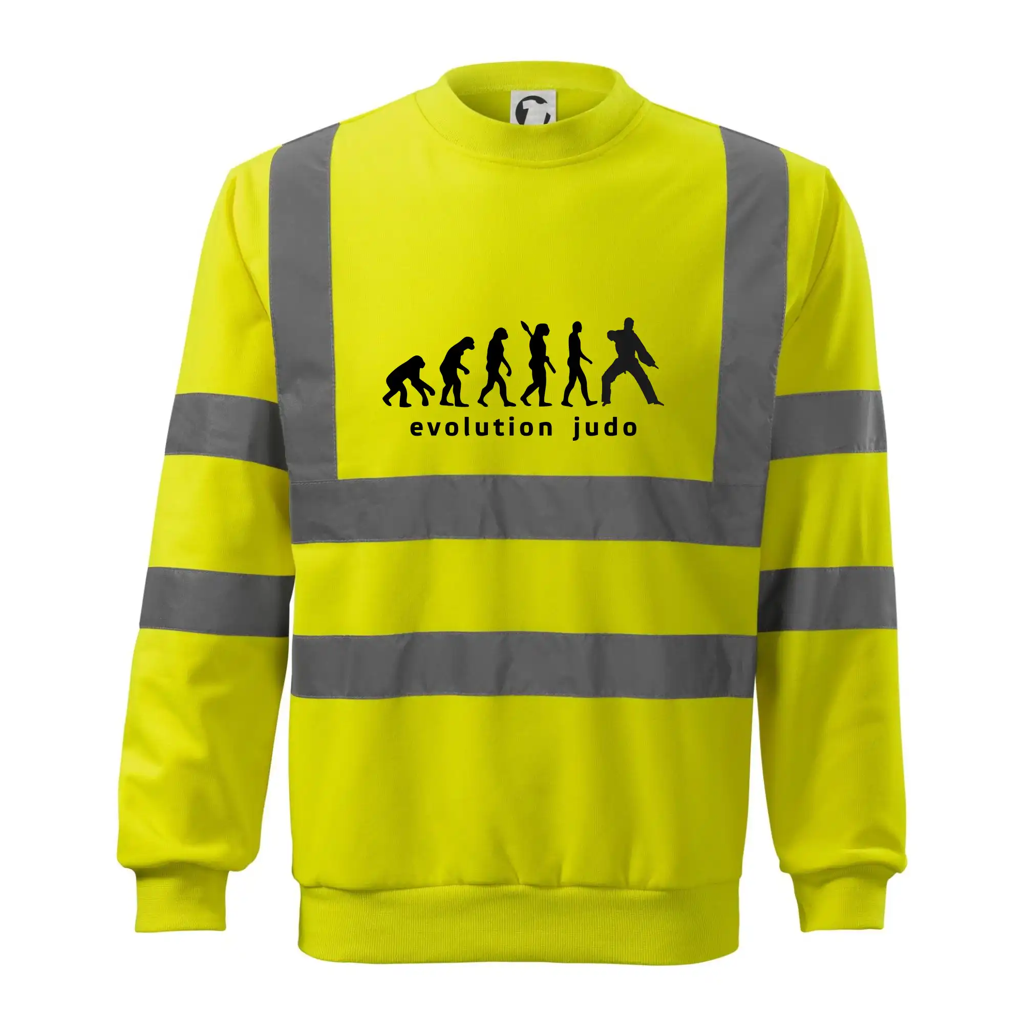 Judo evoluce - úder