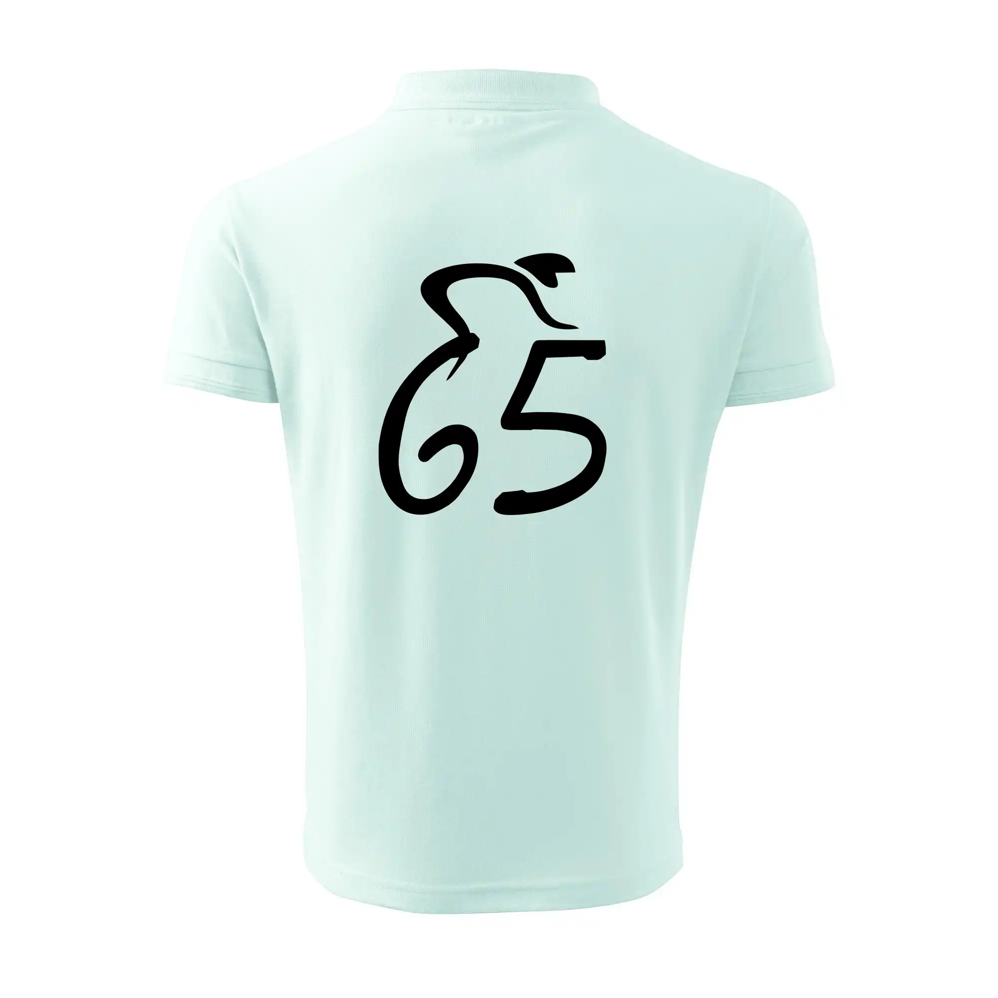 Cyklista slaví pětašedesátku (65)