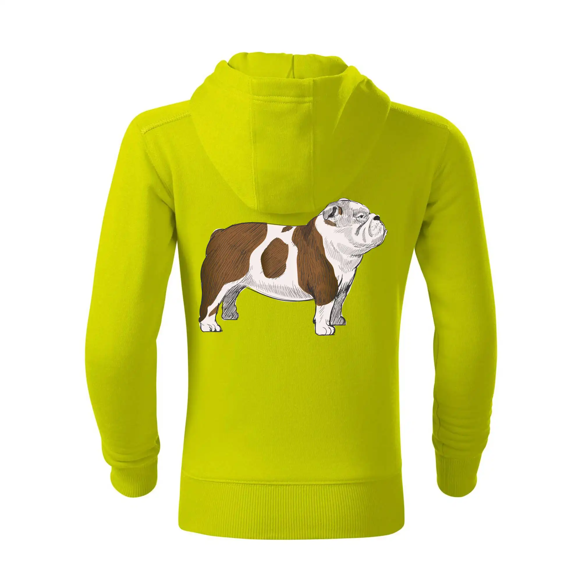 Vintage English bulldog