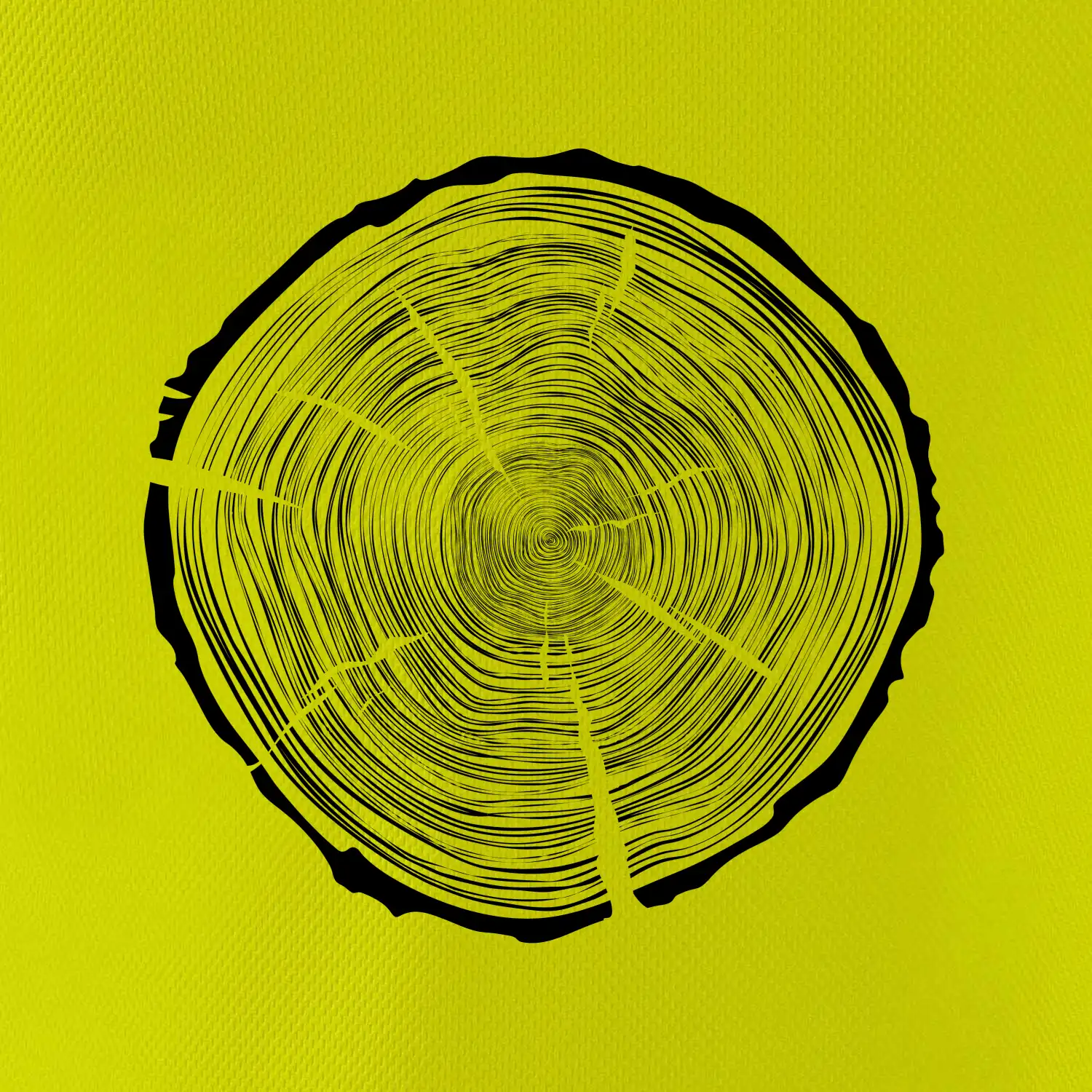 Letokruhy 95 bez věku