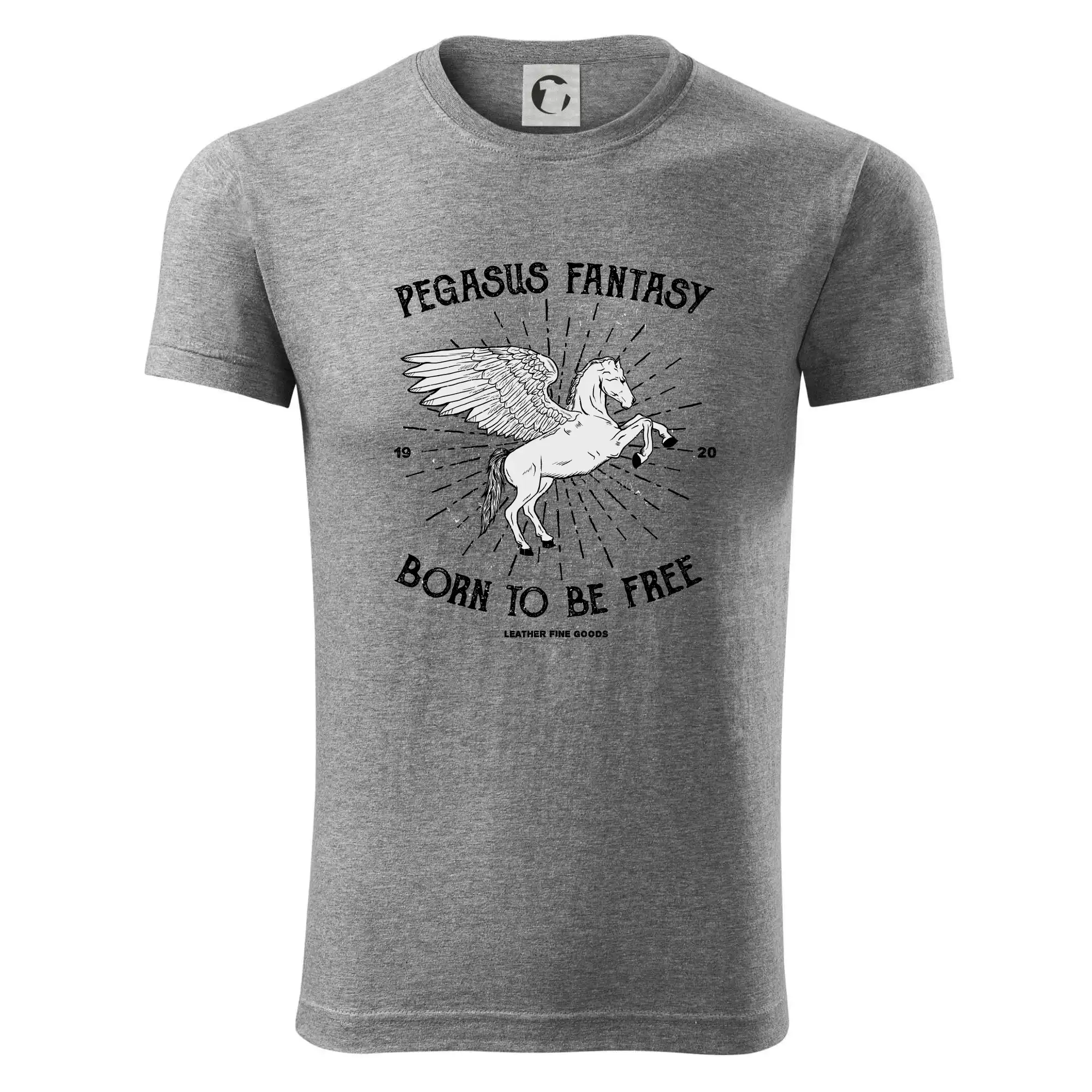 Pegasus fantasy