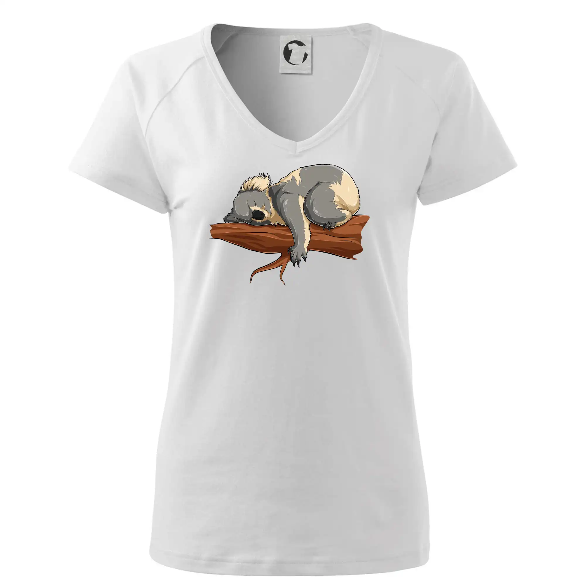 Koala na větvi