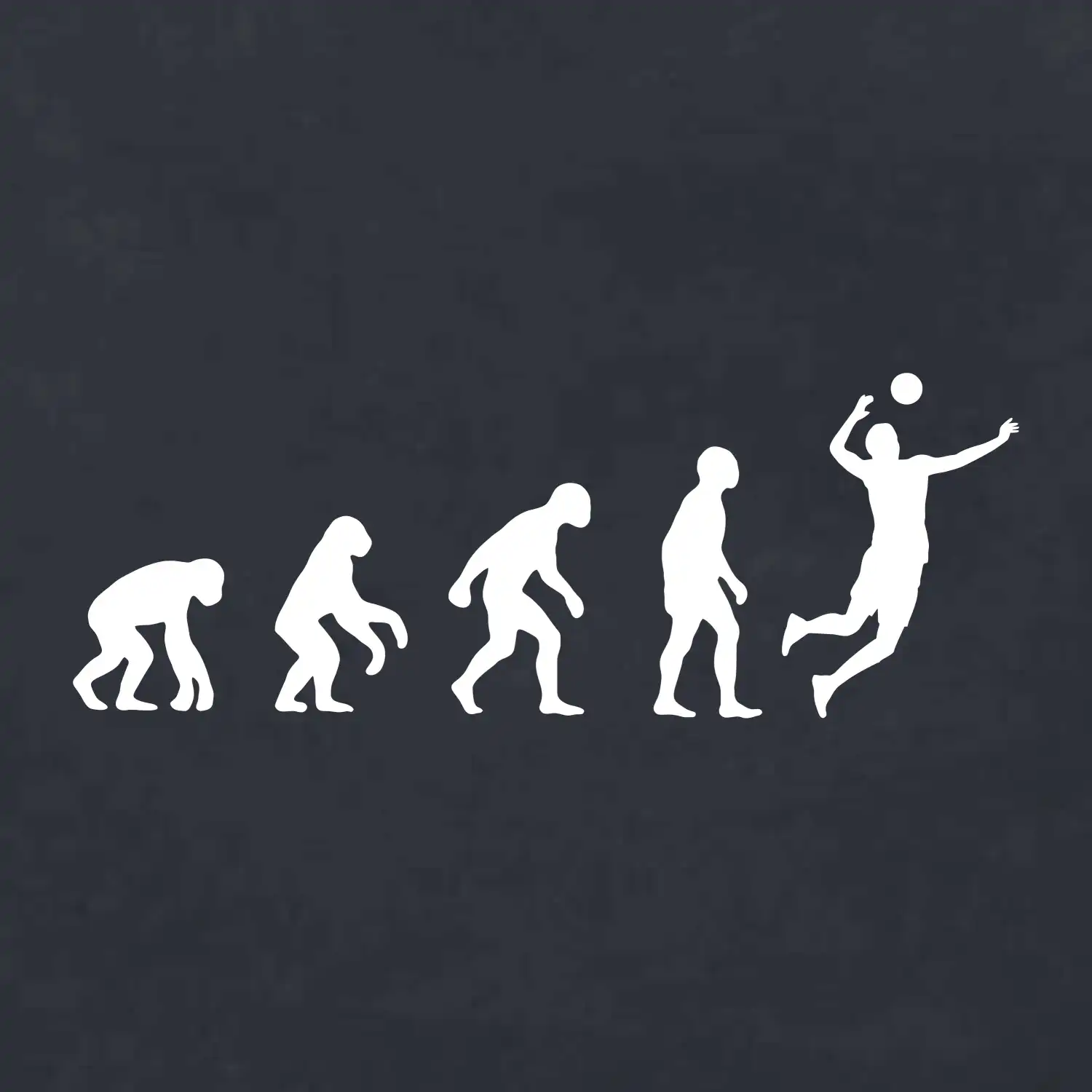 Evoluce volejbal muž