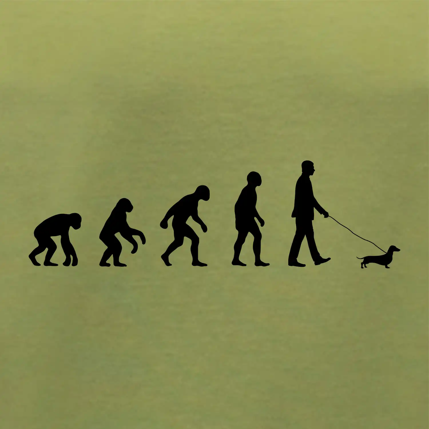 Jezevčík Evoluce muž