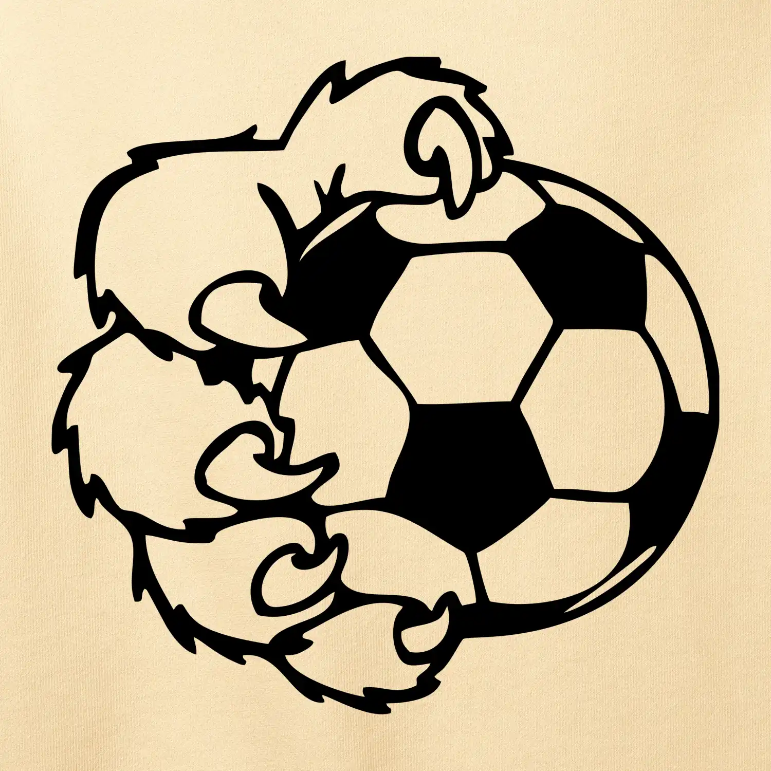 Medvědí tlapa fotbal