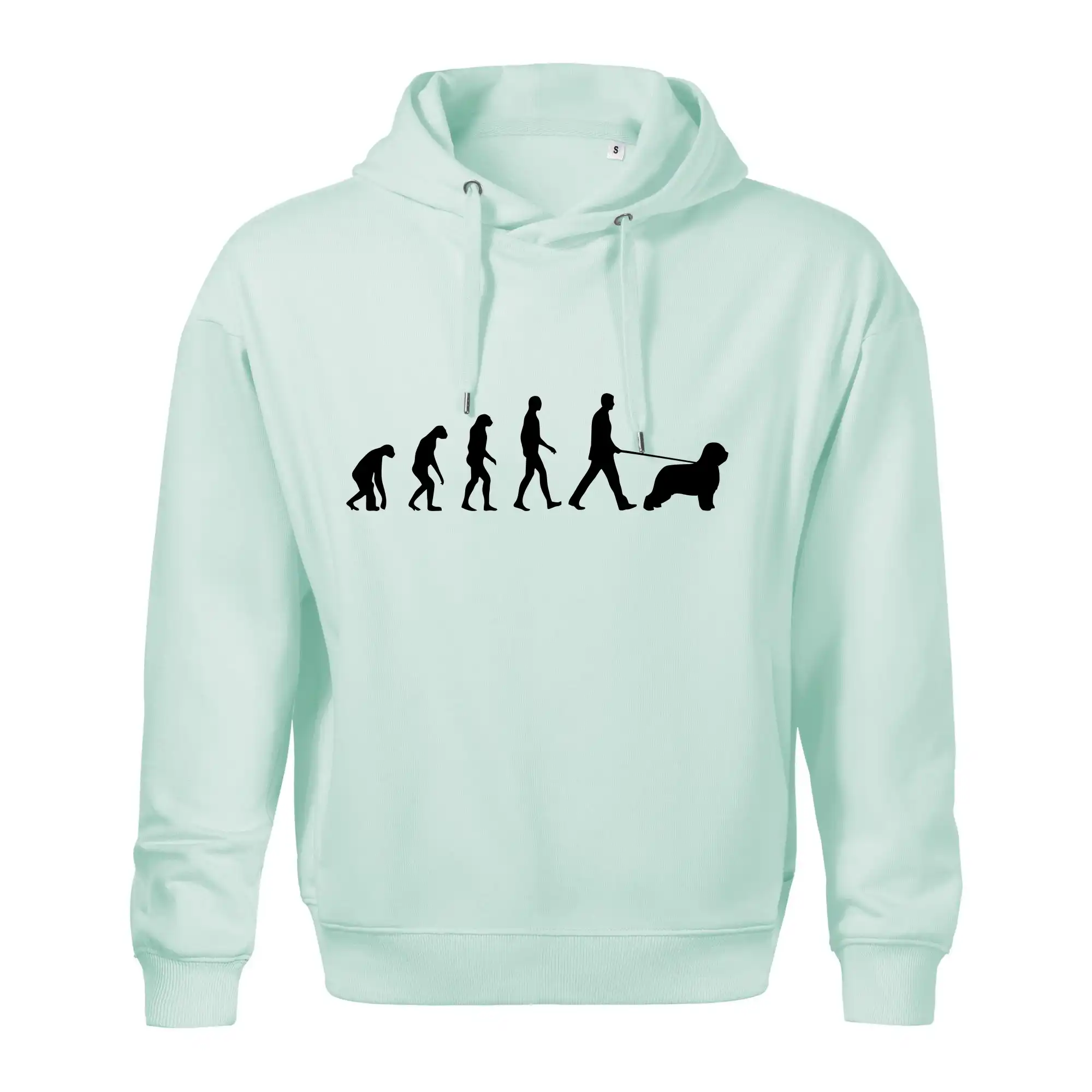 Evoluce pes Briard