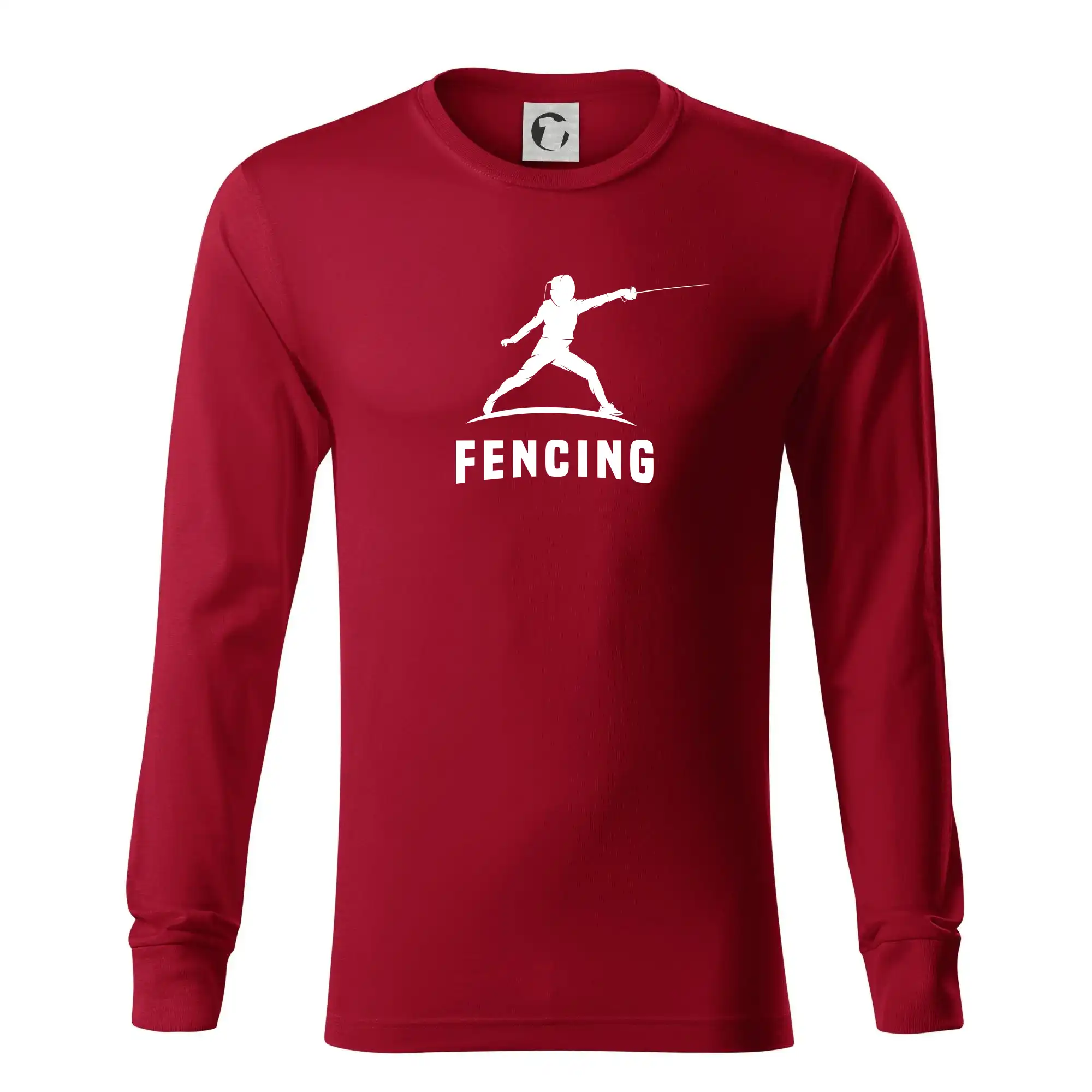 Fencing (šerm) - postava