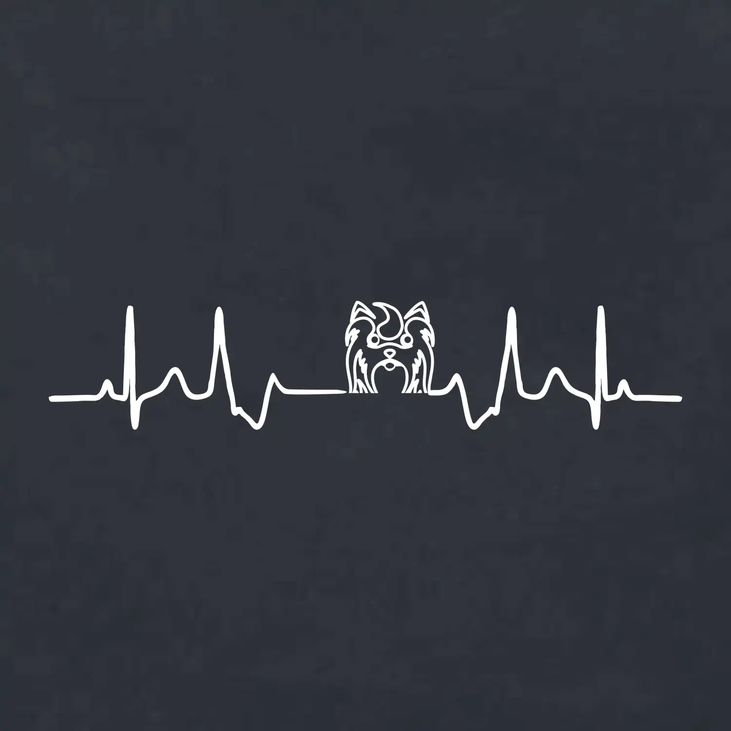 Shih-tzu ekg hlava