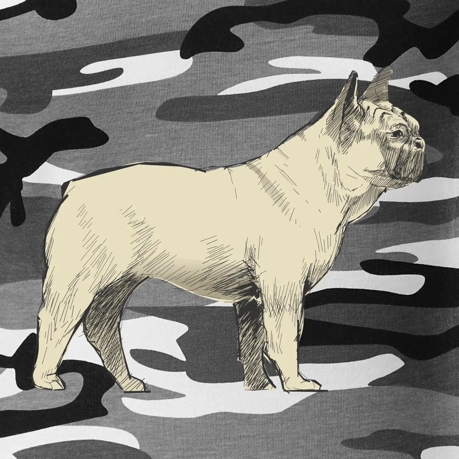 Vintage French bulldog