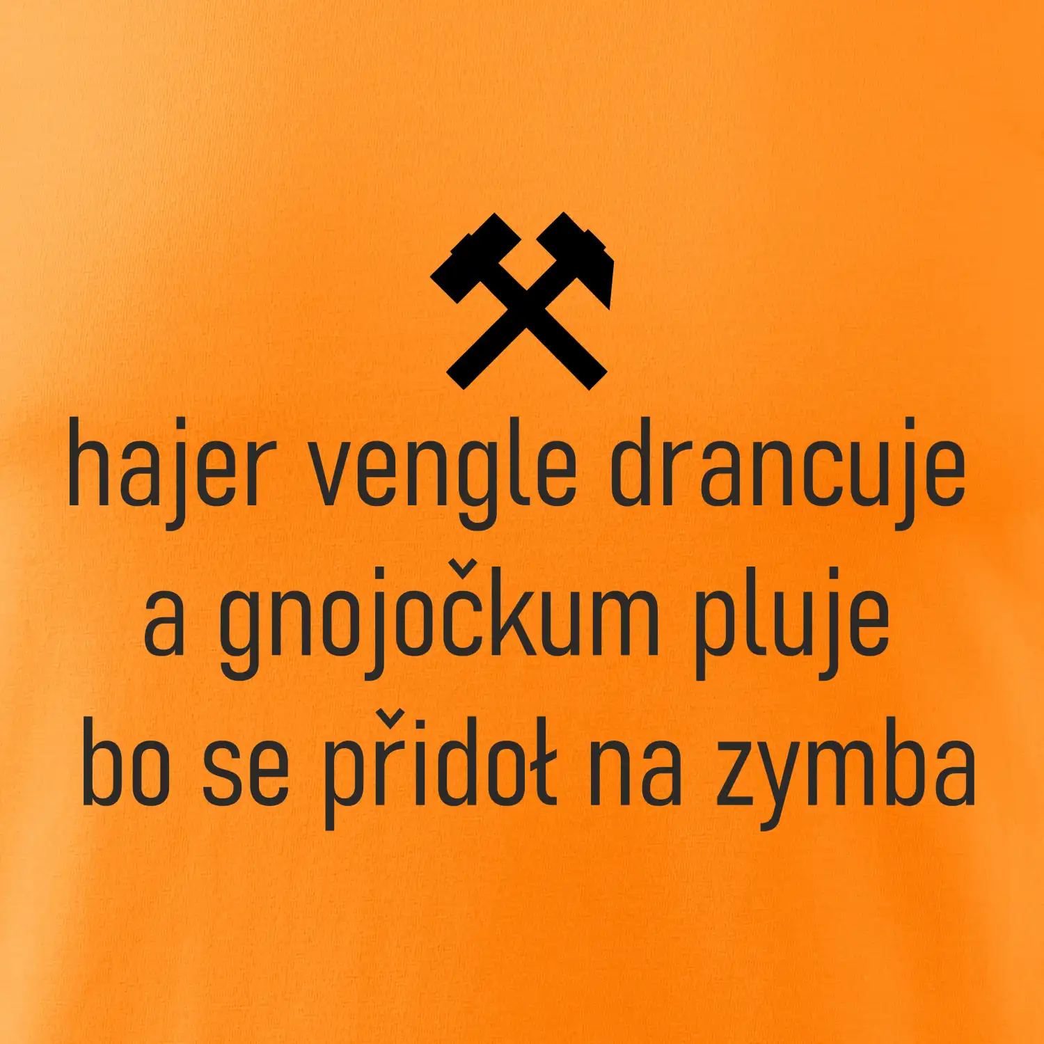 Hajer vengle drancuje a gnojočkum pluje bo se přidoł na zymba