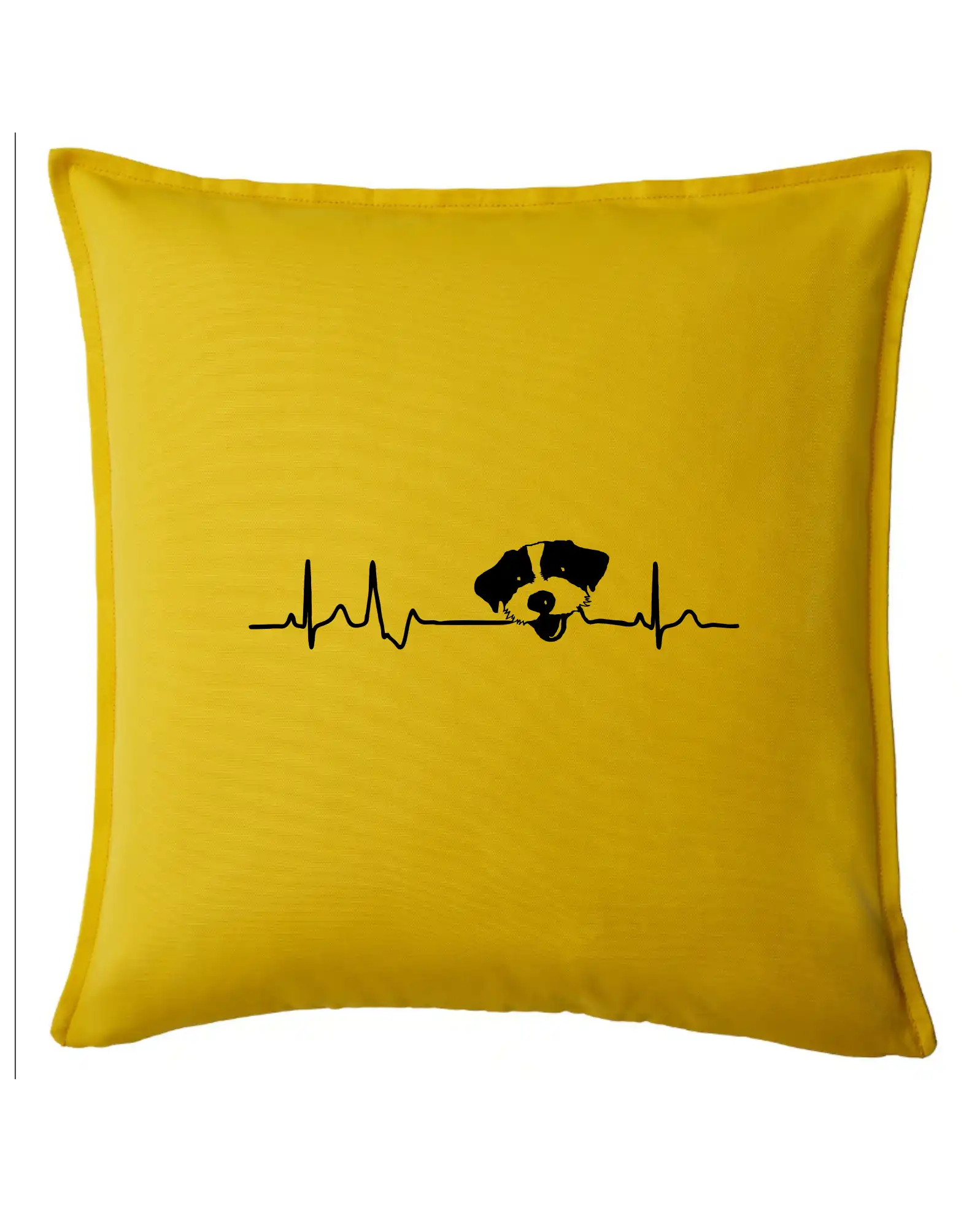 Jack Russell Terriér hrubosrstý Ekg