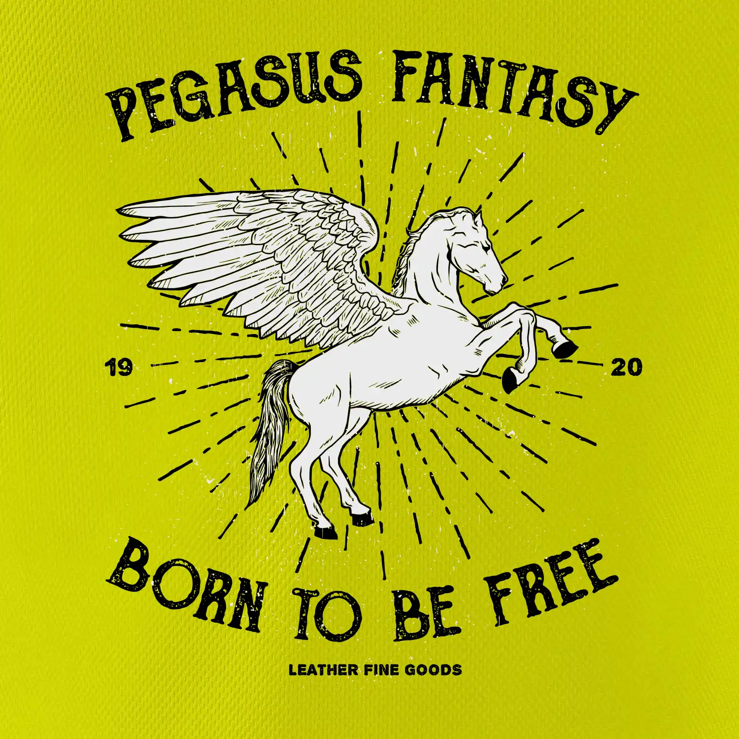 Pegasus fantasy