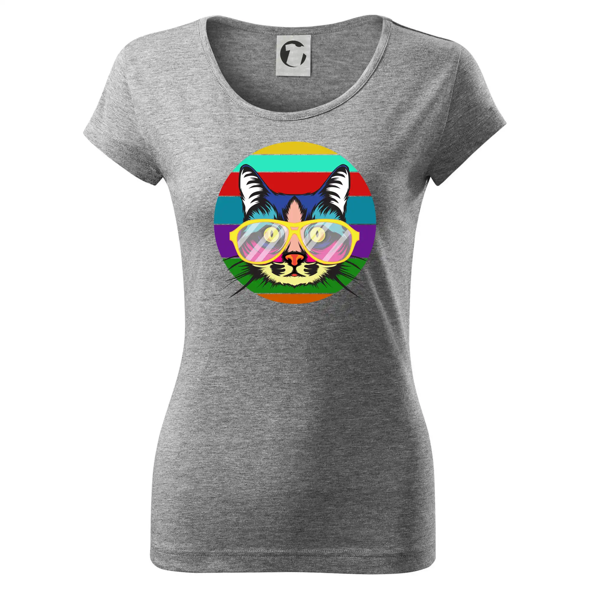 Kočka při barevném západu