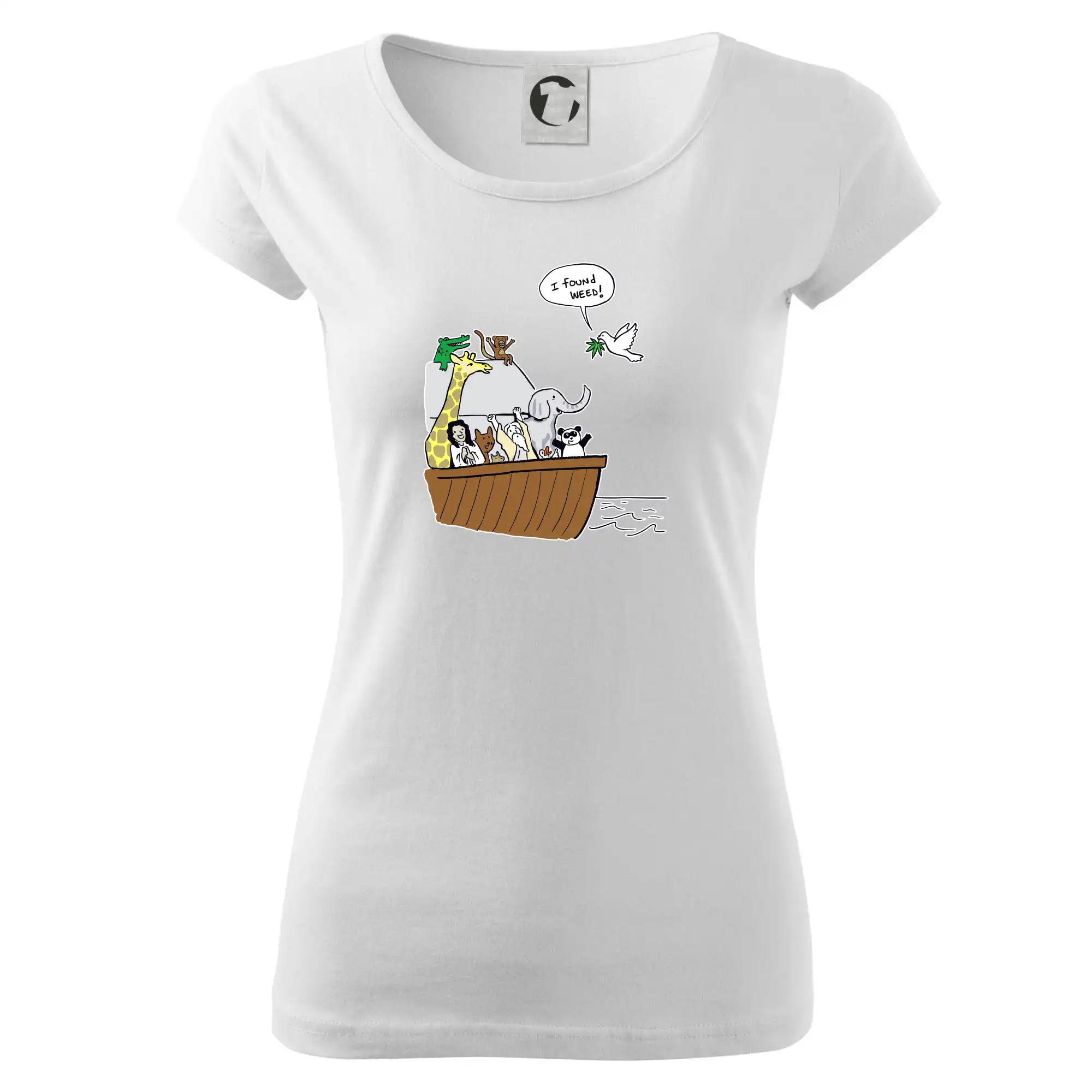 Pravda s Noemovou archou