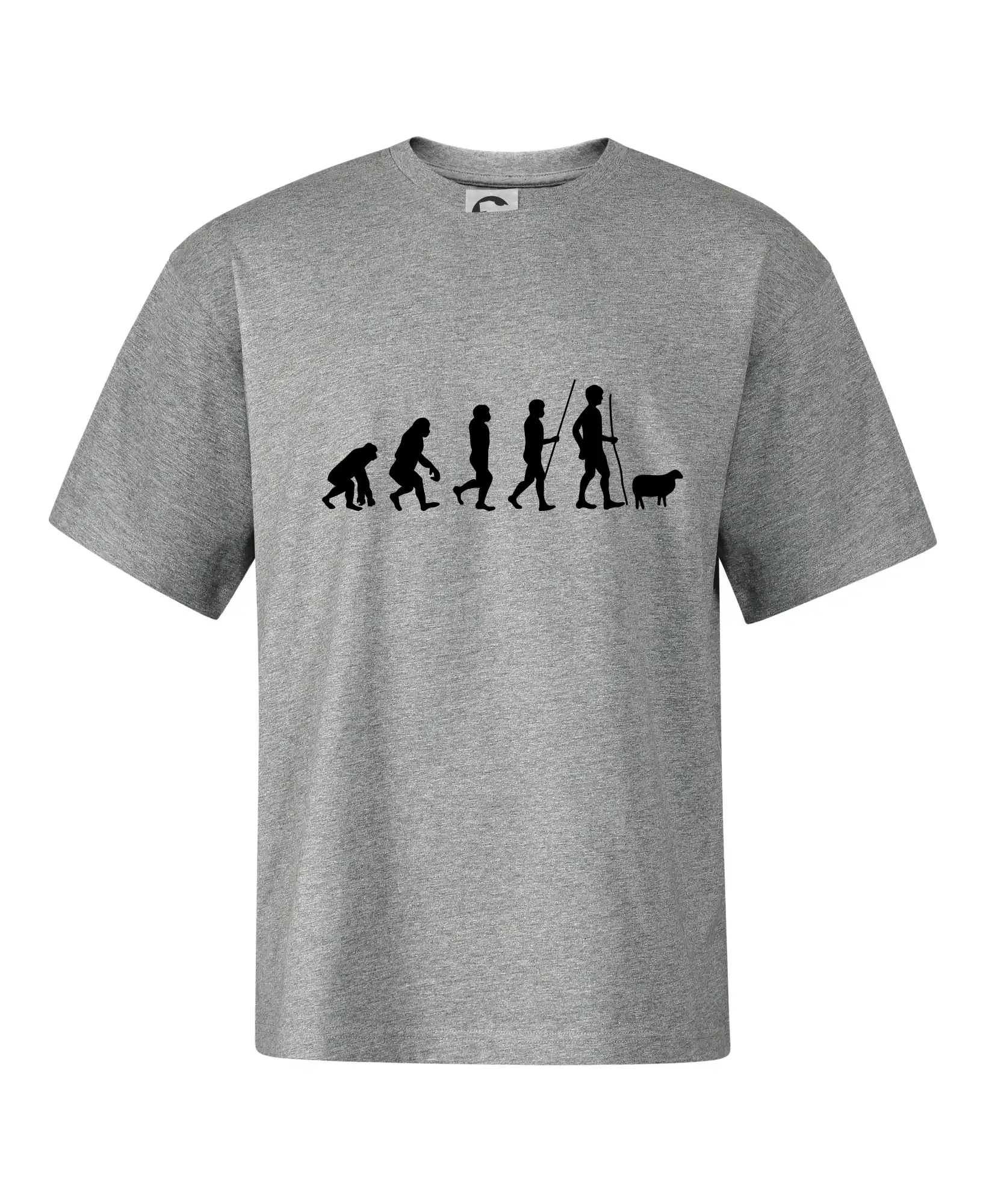 Evoluce pastevec ovcí