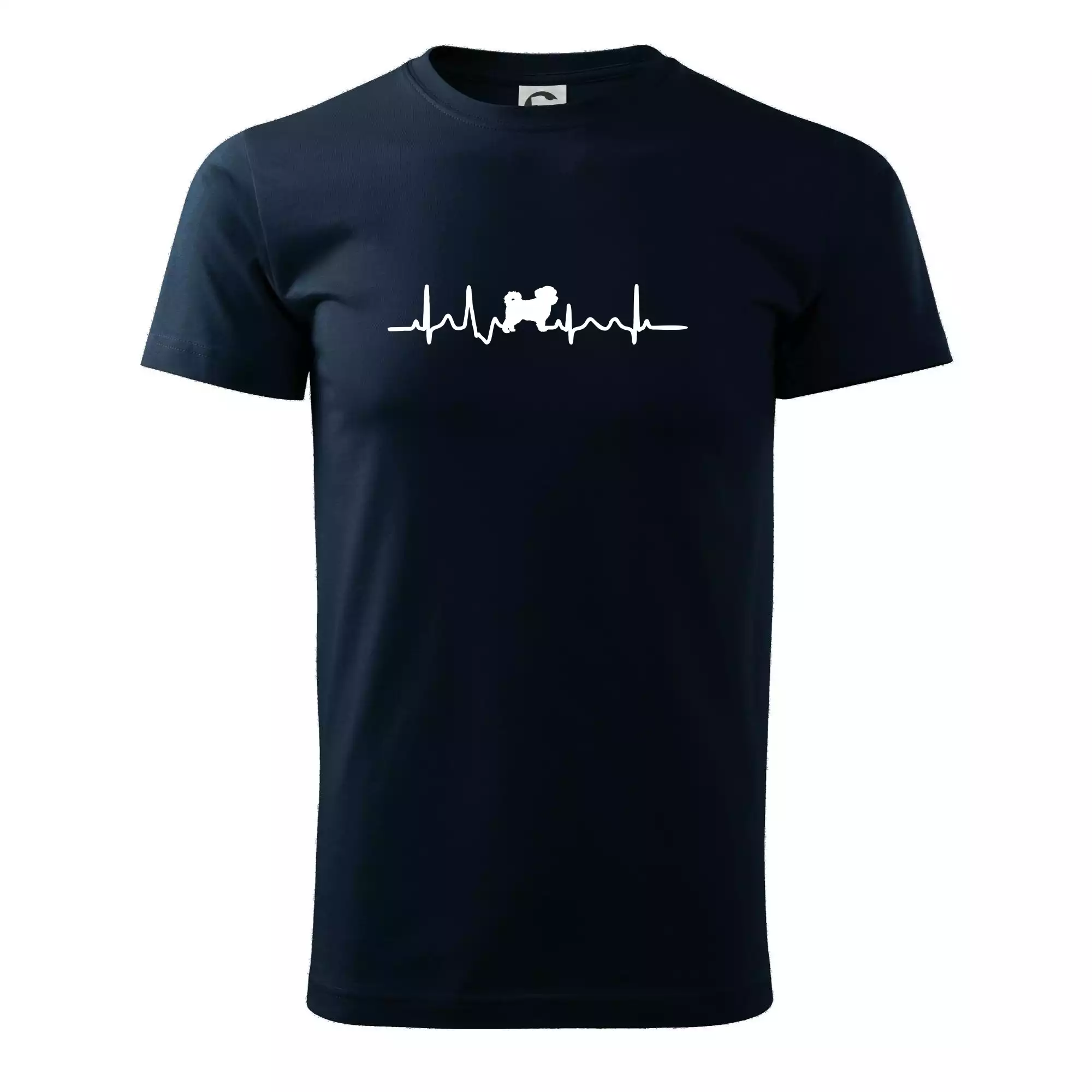 Havanský psík ekg