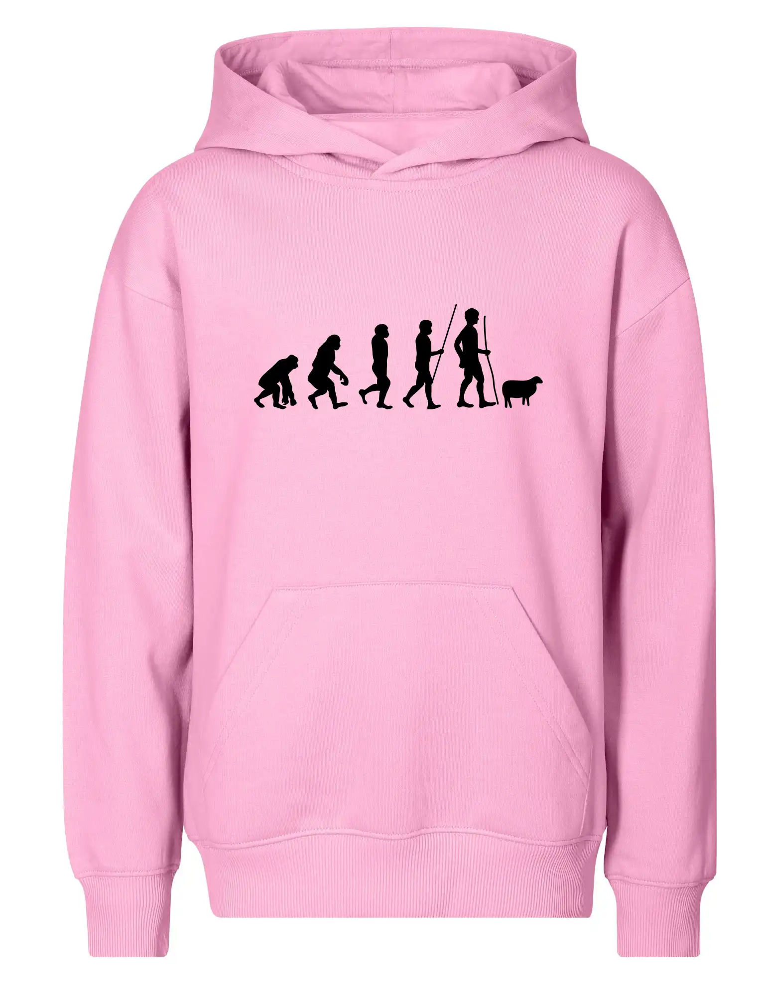 Evoluce pastevec ovcí