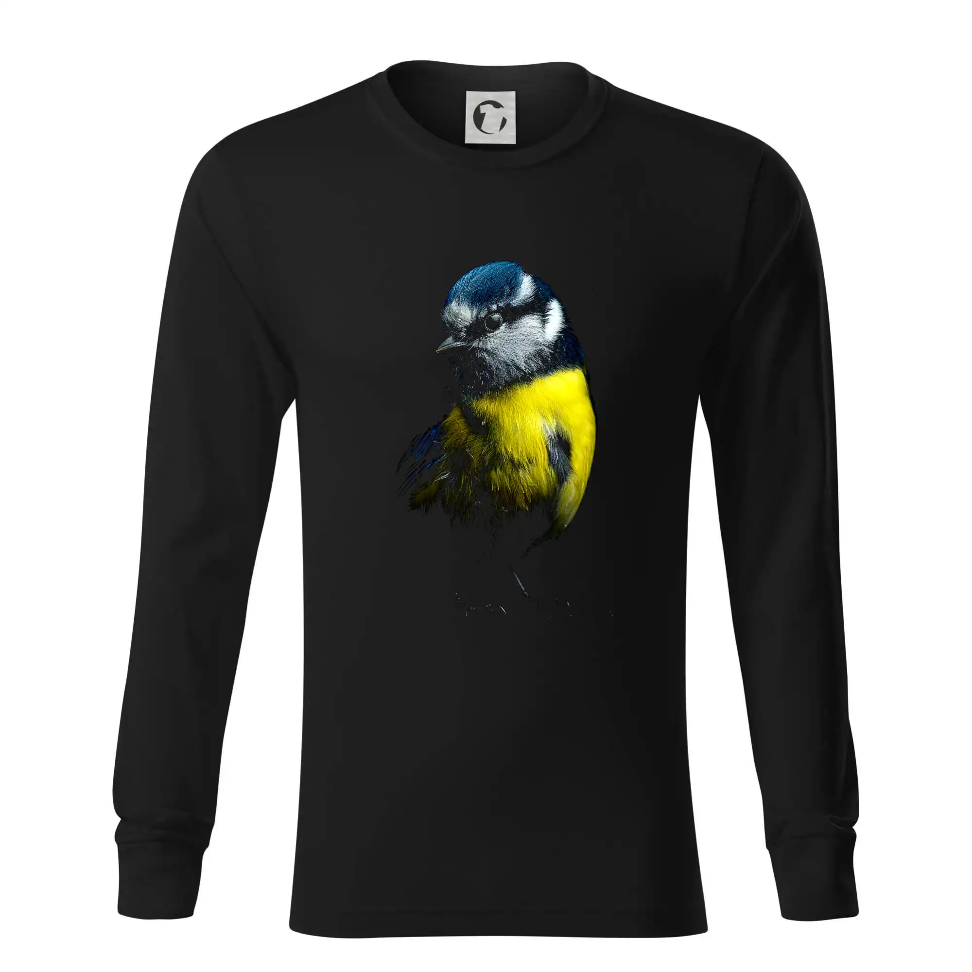 Sýkora modřinka černá fotka