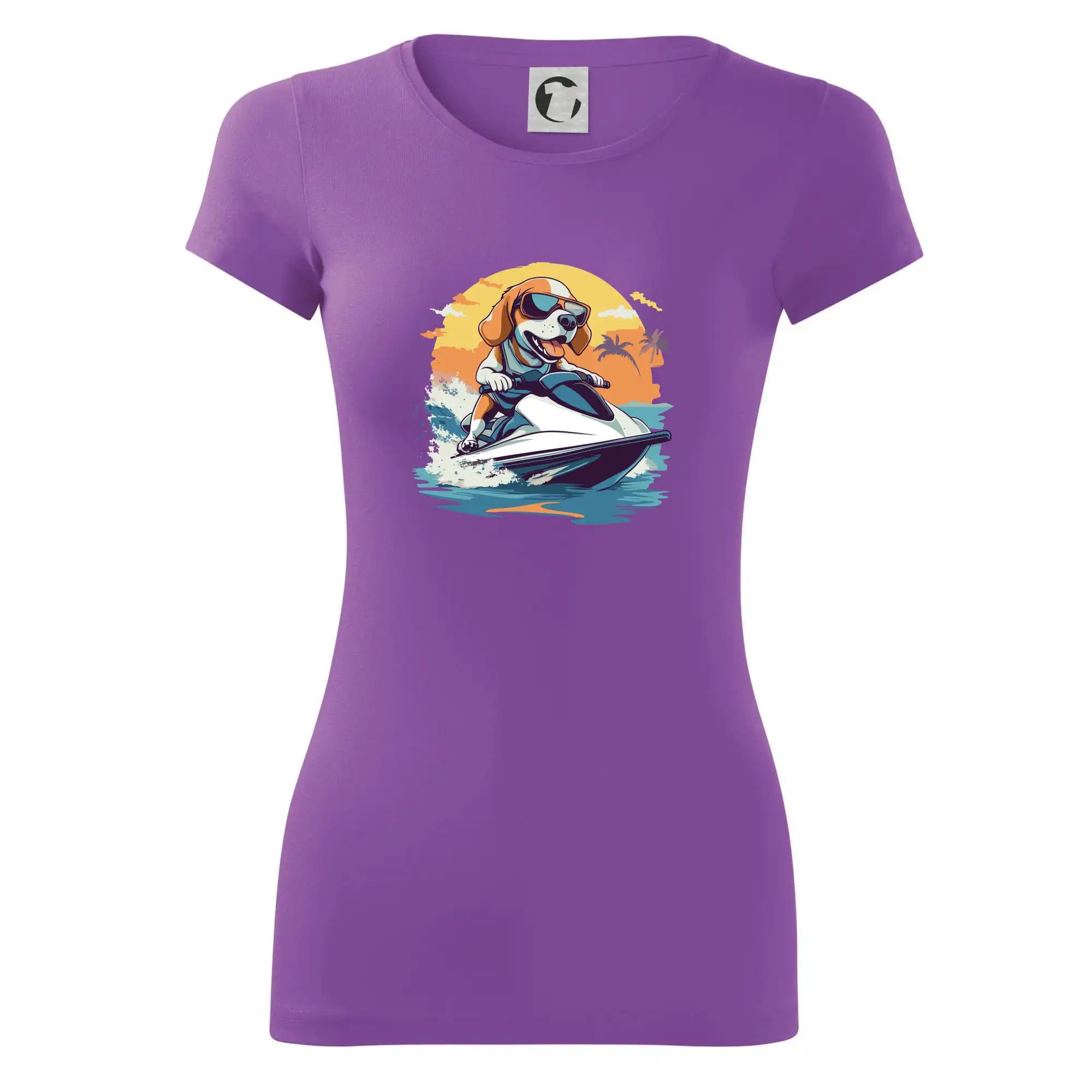 Bígl na vodním skútru