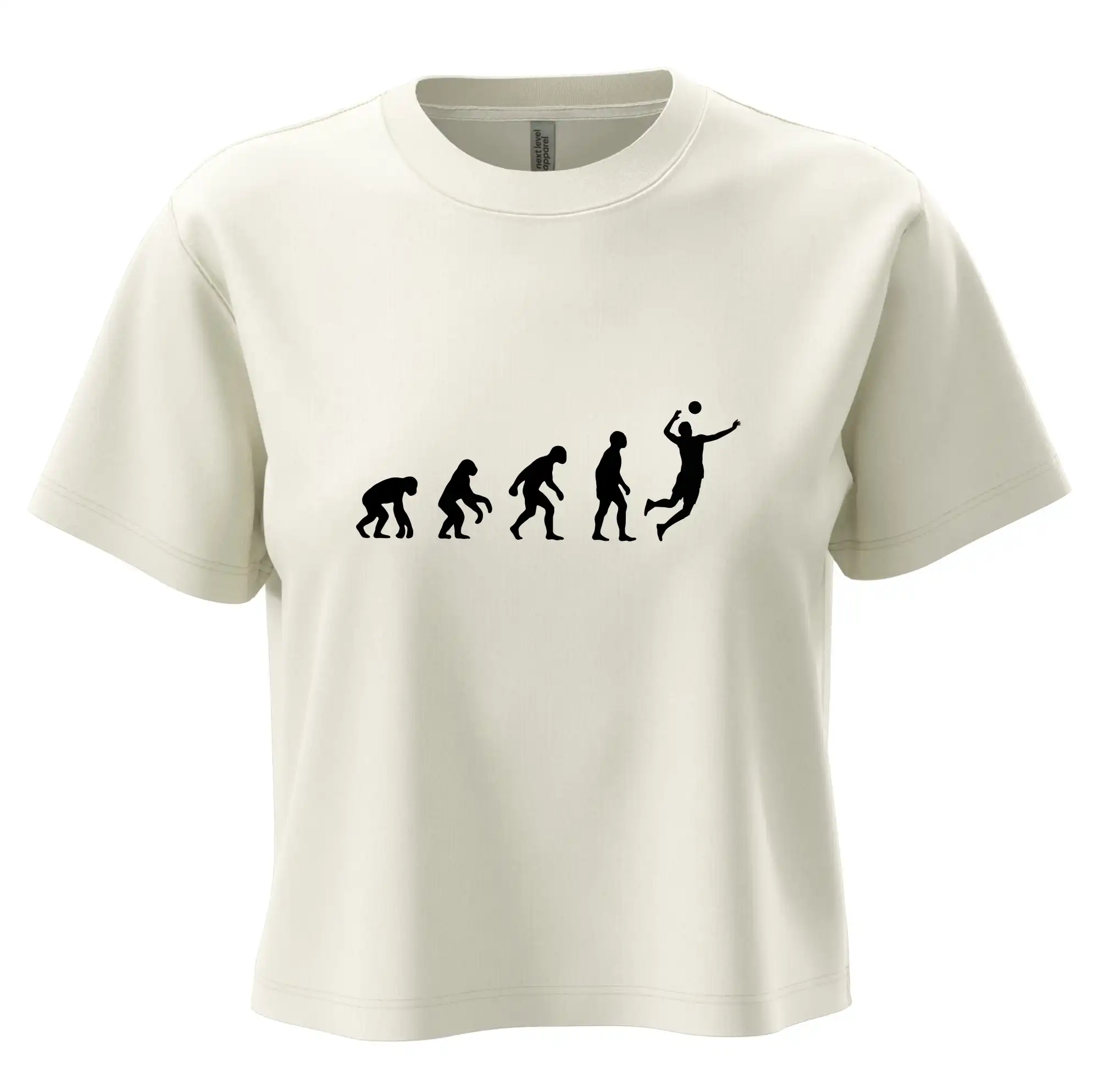 Evoluce volejbal smeč