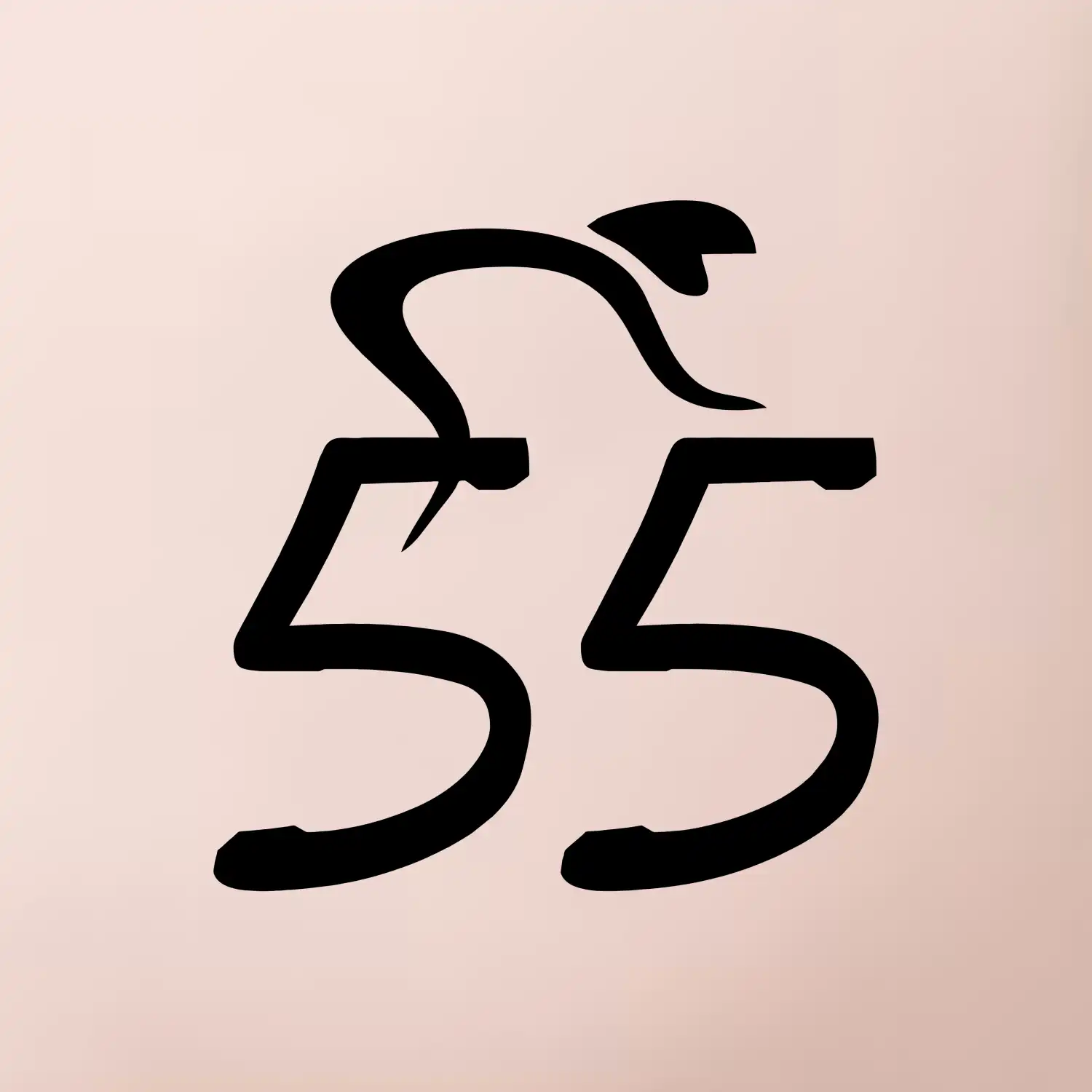 Cyklista slaví pětapadesátku (55)