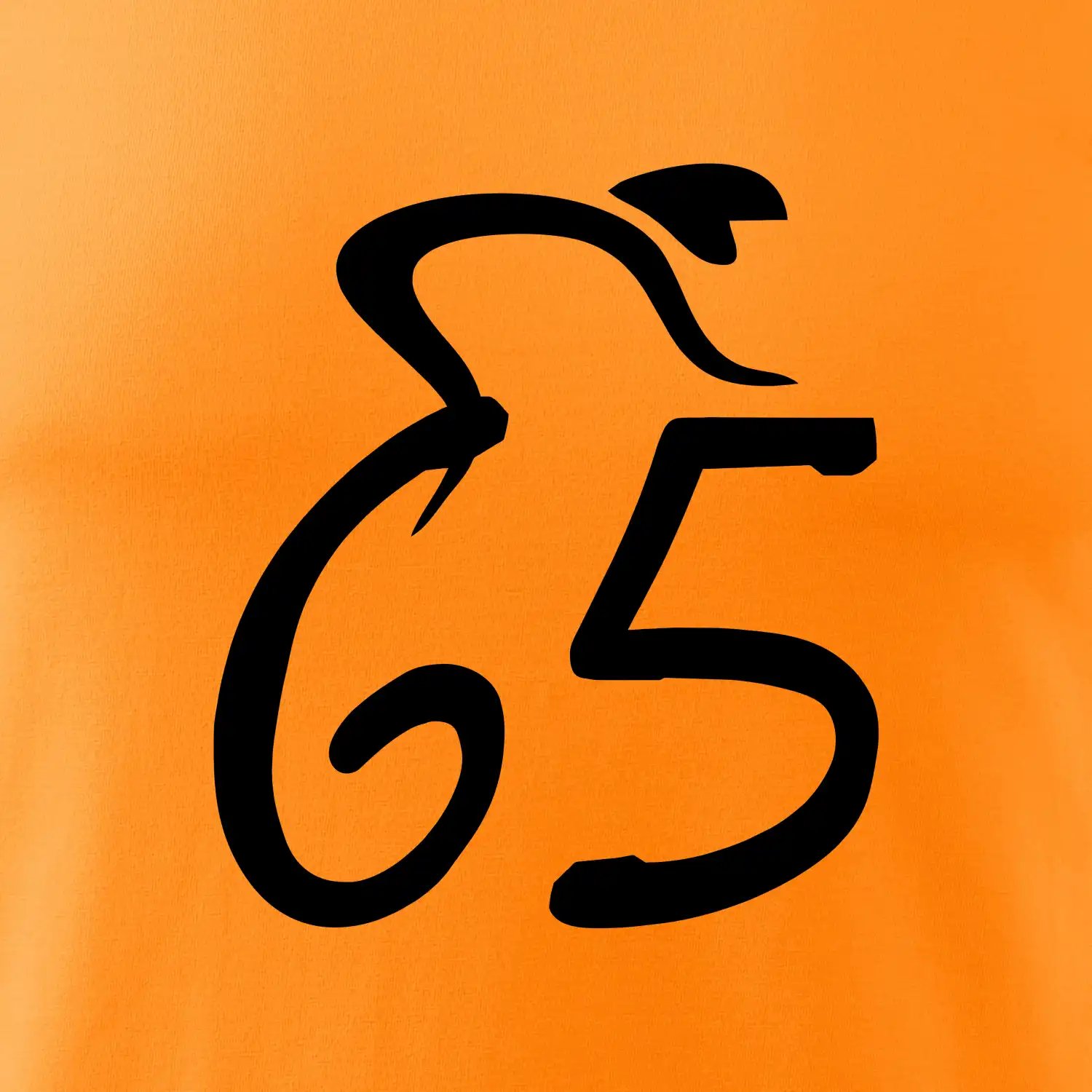 Cyklista slaví pětašedesátku (65)