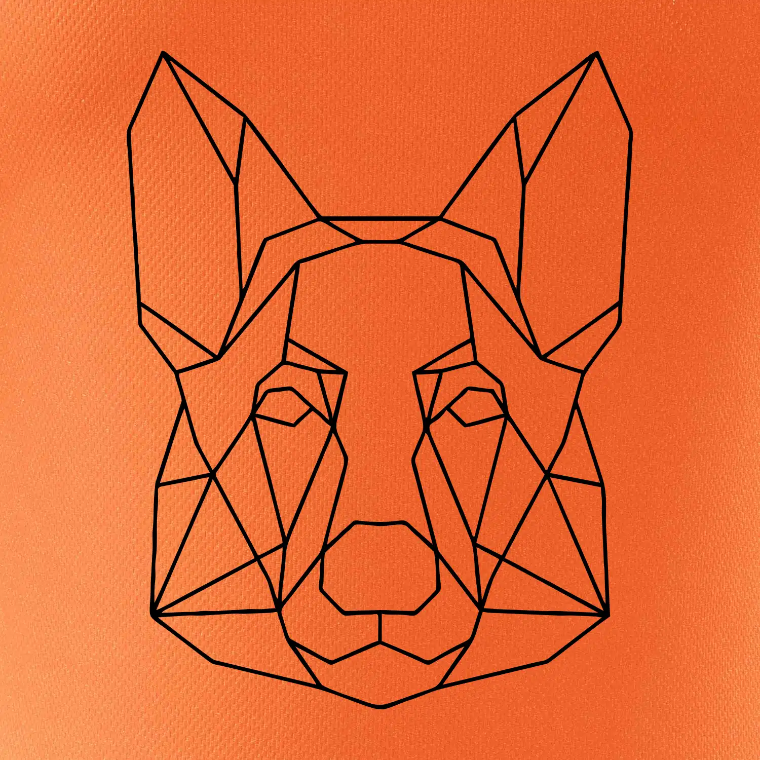 Německý ovčák - Geometrie