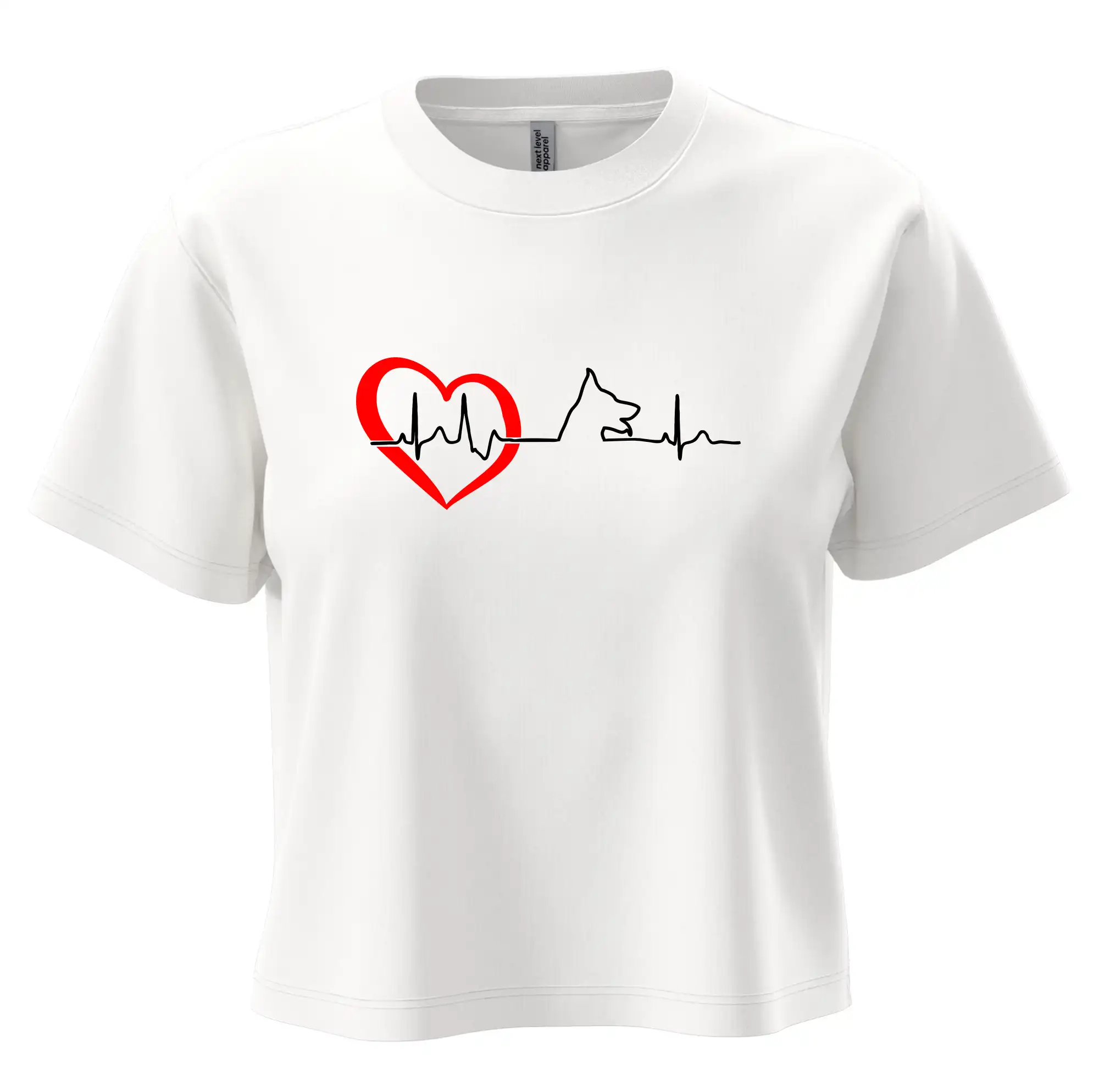 Německý ovčák ekg