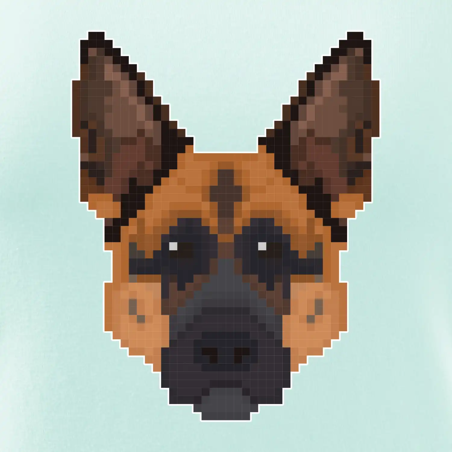 Německý ovčák - Rozkostičkovaný