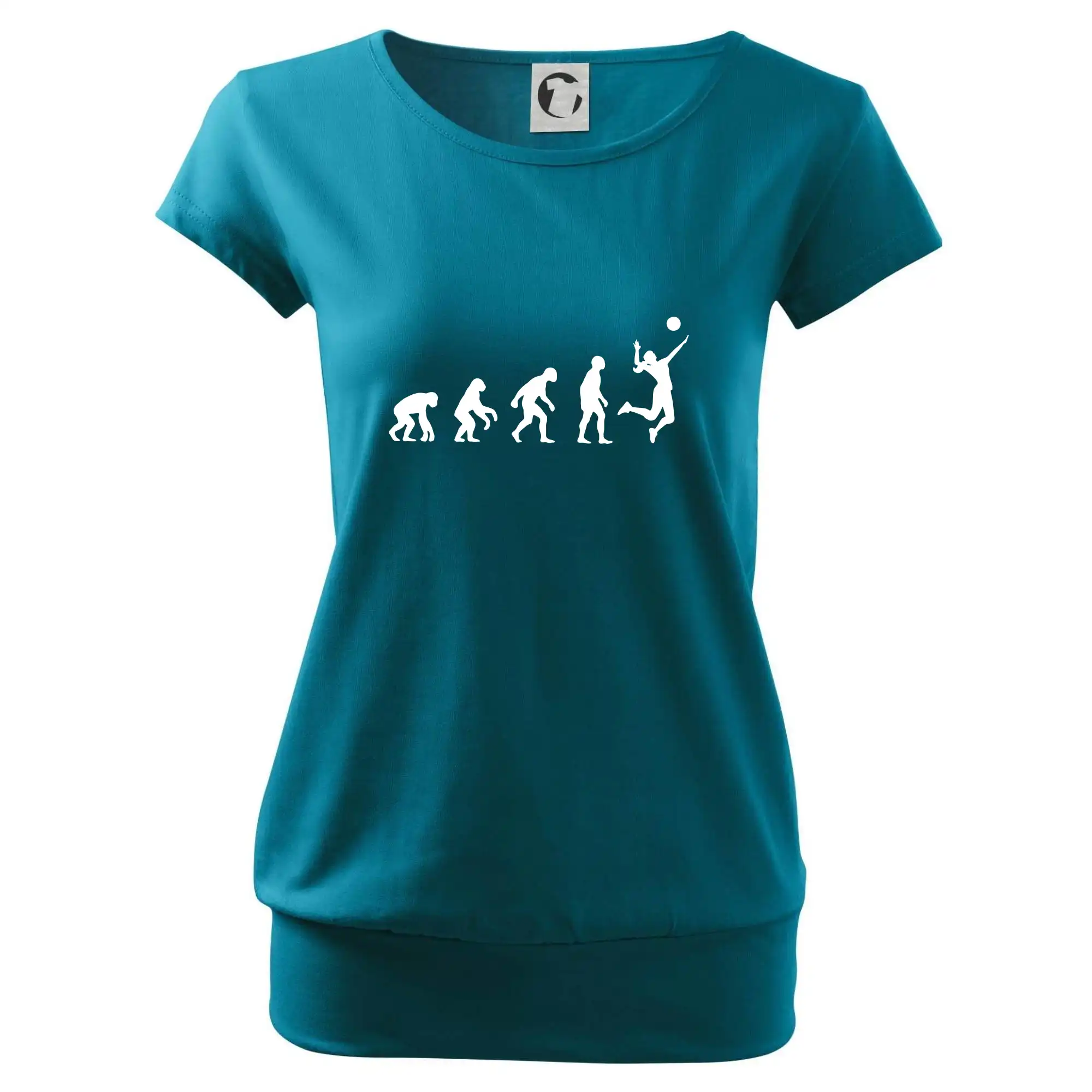 Evoluce volejbal culík