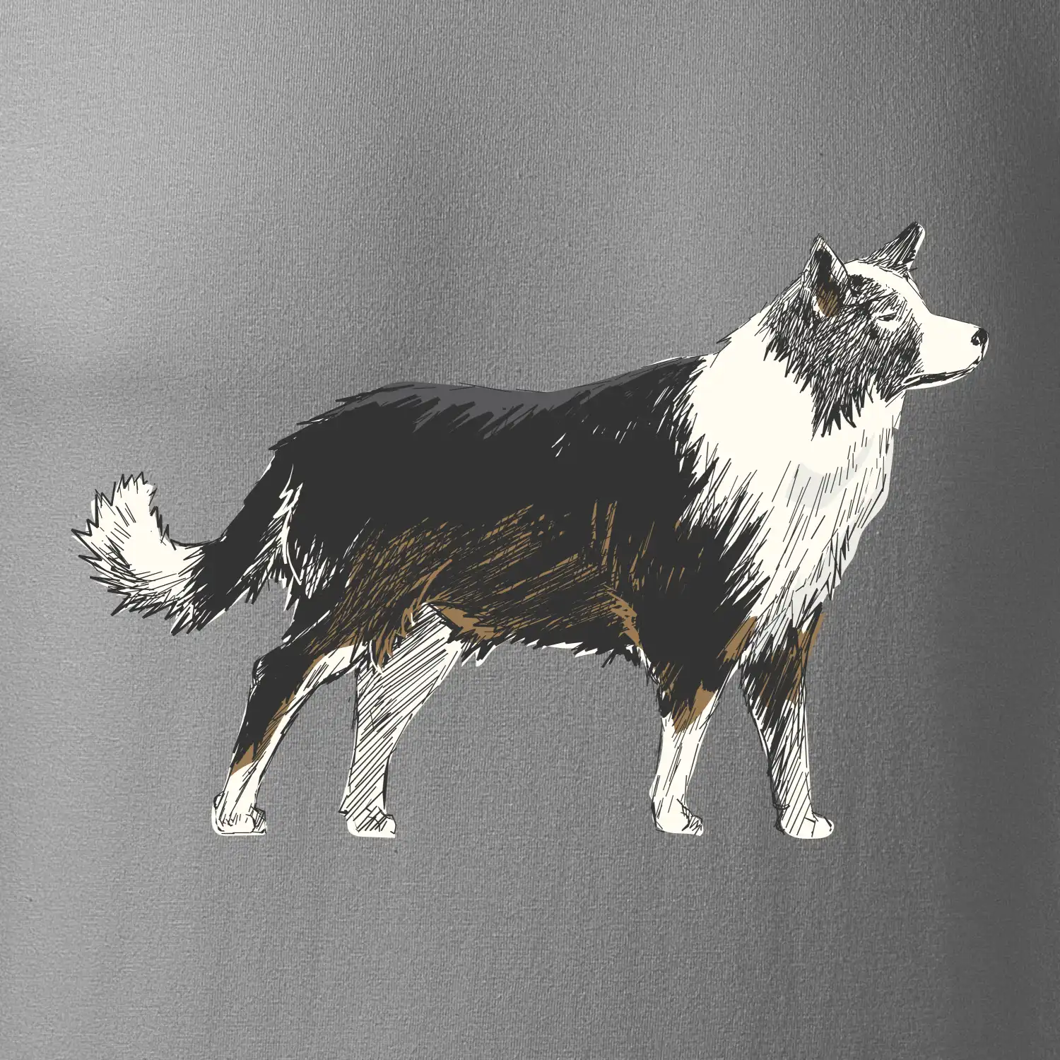 Border kolie kreslená