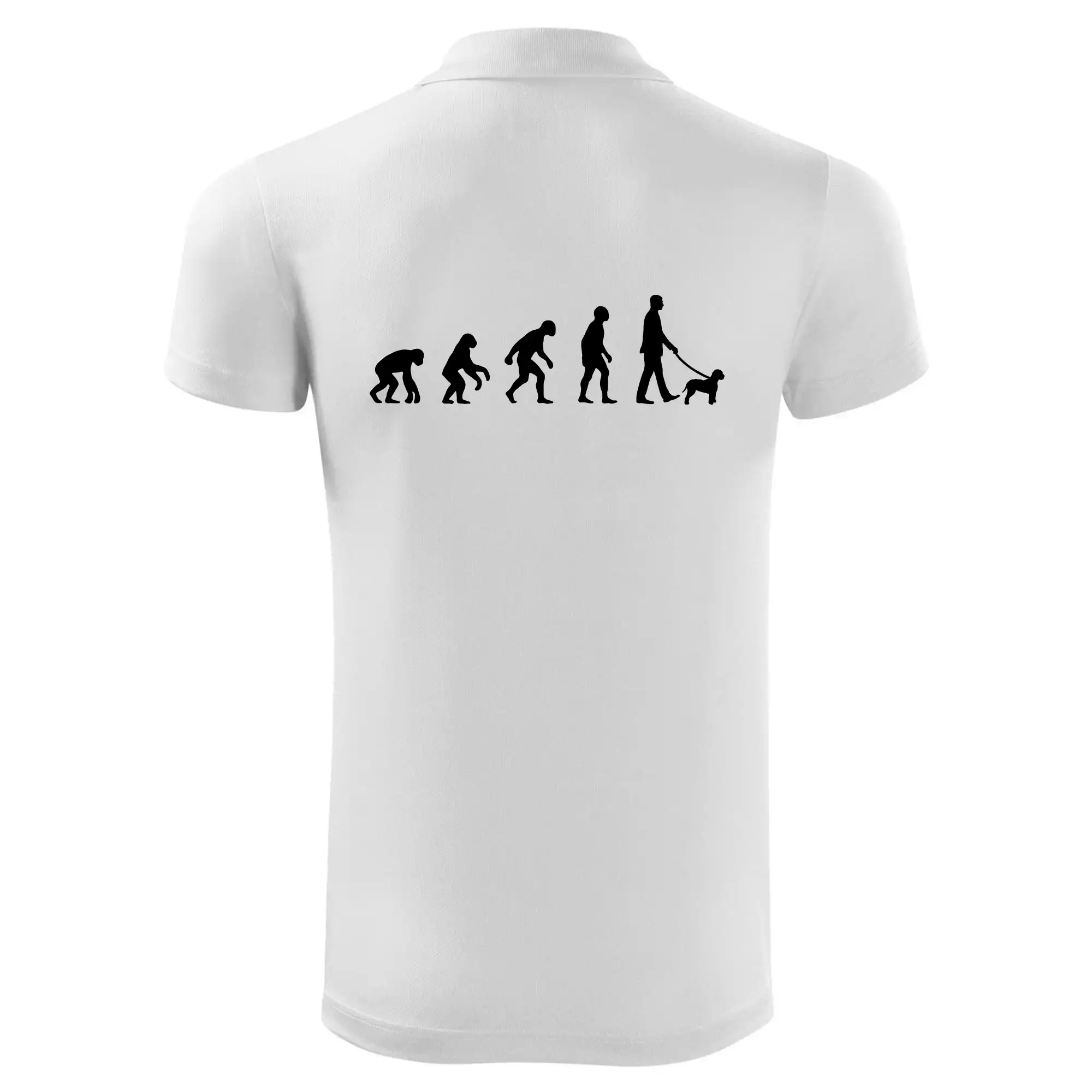 Lagotto romagnolo Evoluce