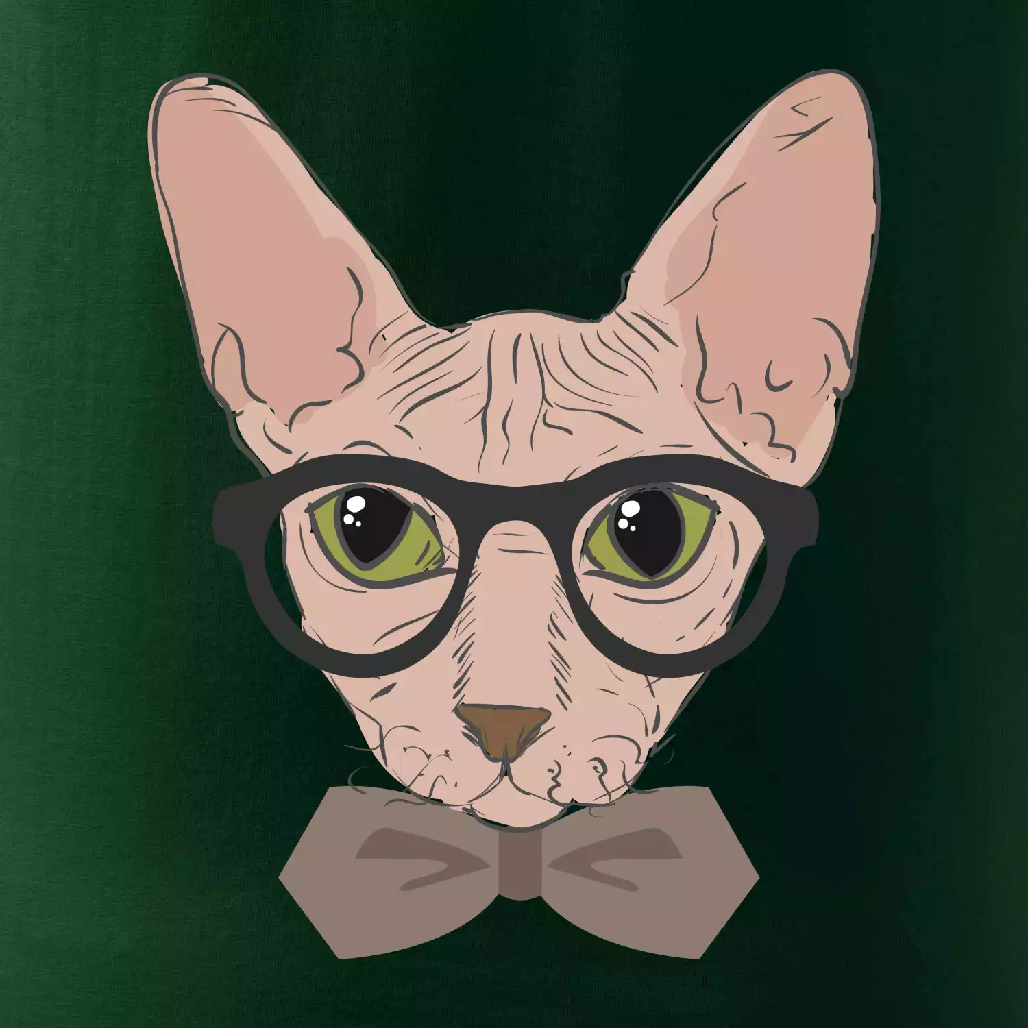 Hipster sphynx