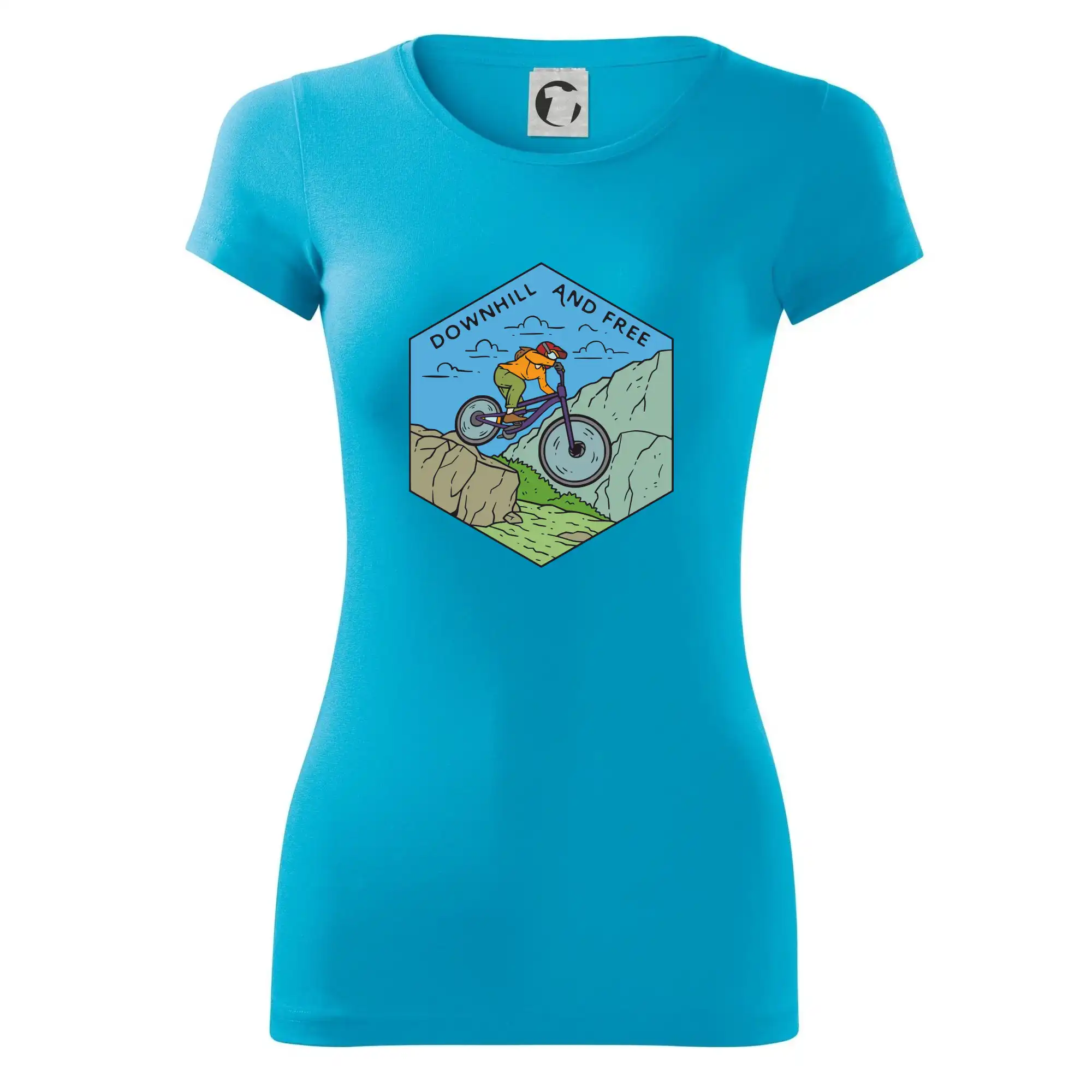 Downhill and free holka