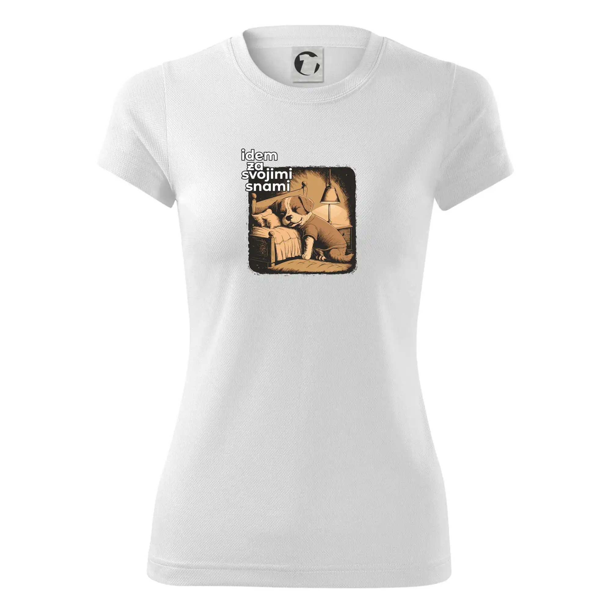 Idem za svojimi snami