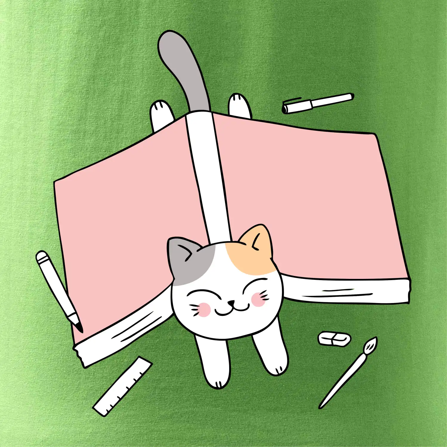 Učení na státnice kočka