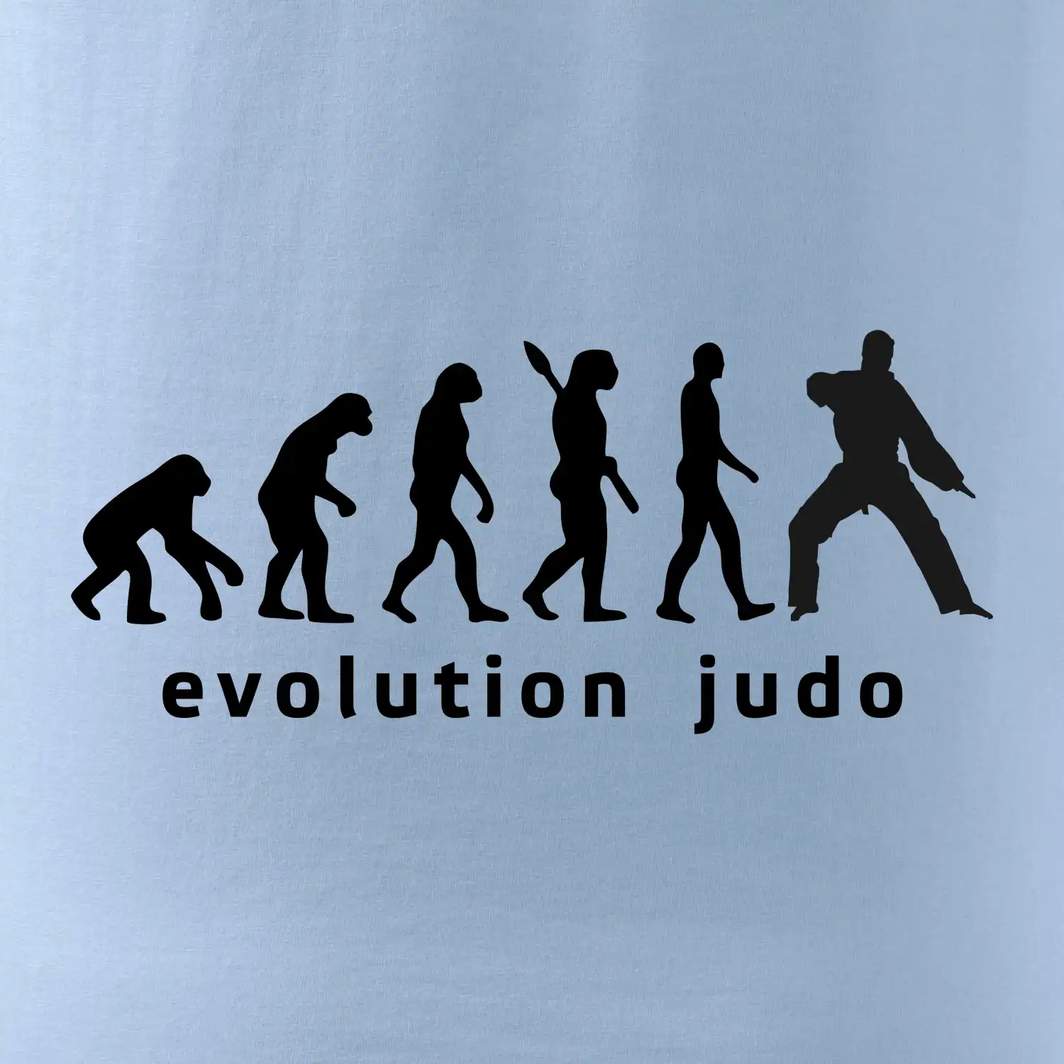 Judo evoluce - úder